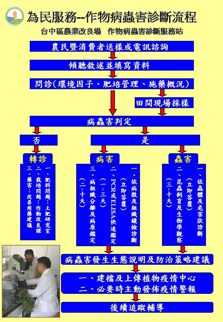 本場作物病蟲害診斷流程