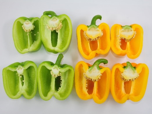 番椒｀台中亞蔬2號＇為綠轉黃之方形甜椒，果形端正-2