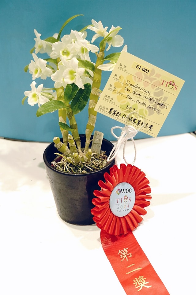 第2獎EP9品系莖的基部粗壯，毋需綁鐵絲，是未來積極開發的品牌特色。