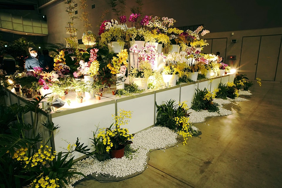 各國蘭花造景競賽作品。