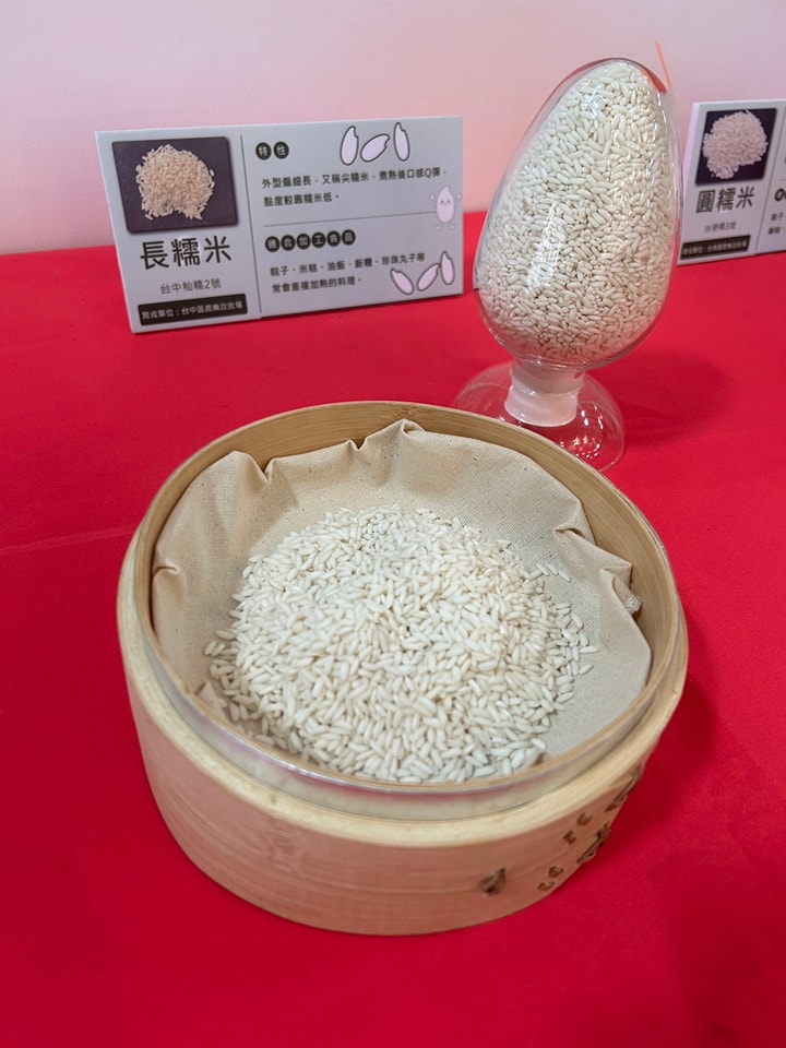現場展示之長糯米。