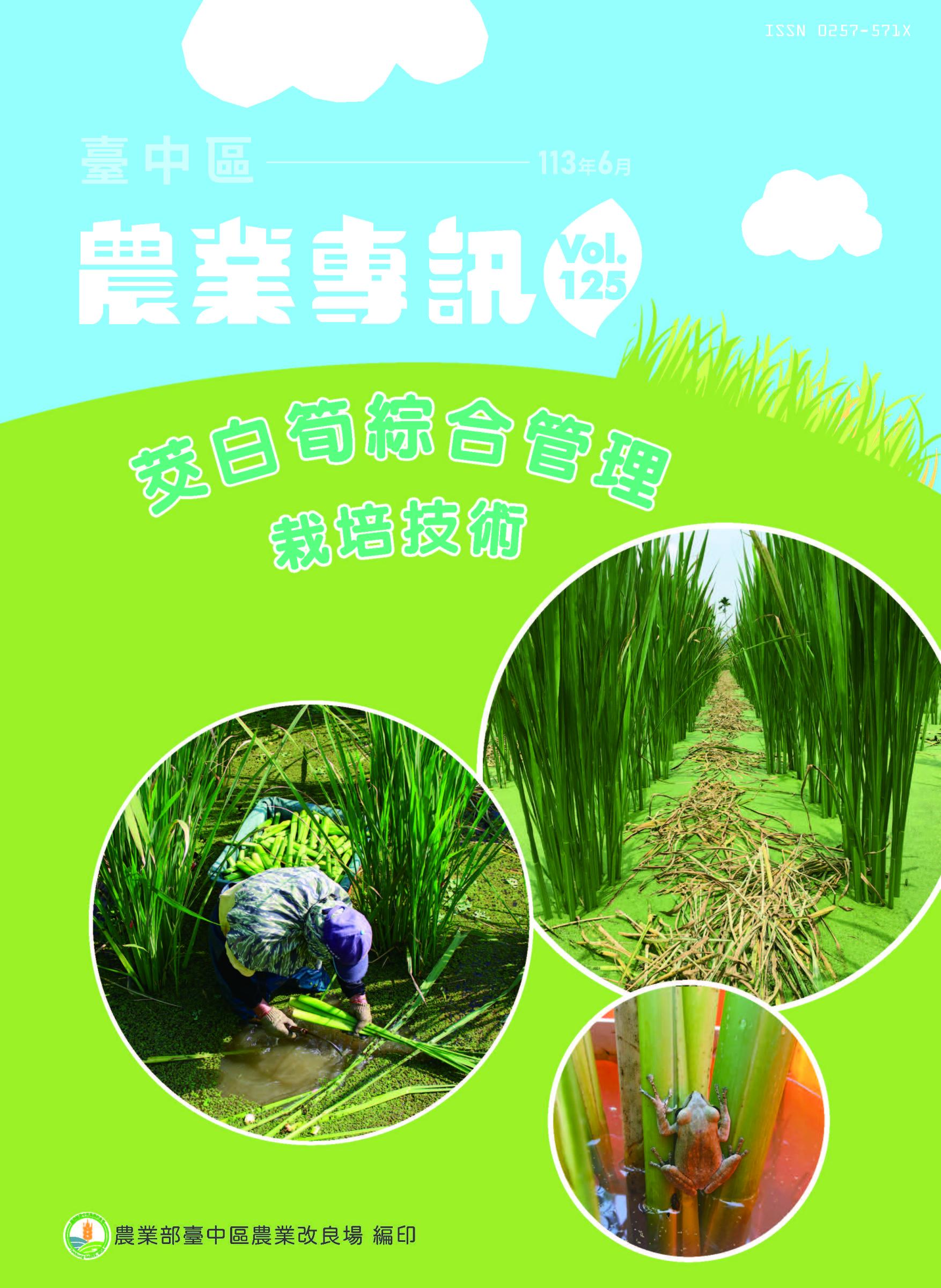 臺中區農業專訊第125期(113年6月)-茭白筍綜合管理栽培技術