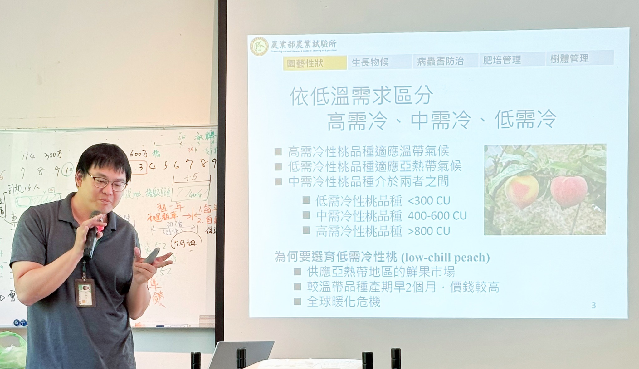 農試所黃群哲副研究員授課主題-甜桃「台農 4 號-紅玉」栽培管理技術。