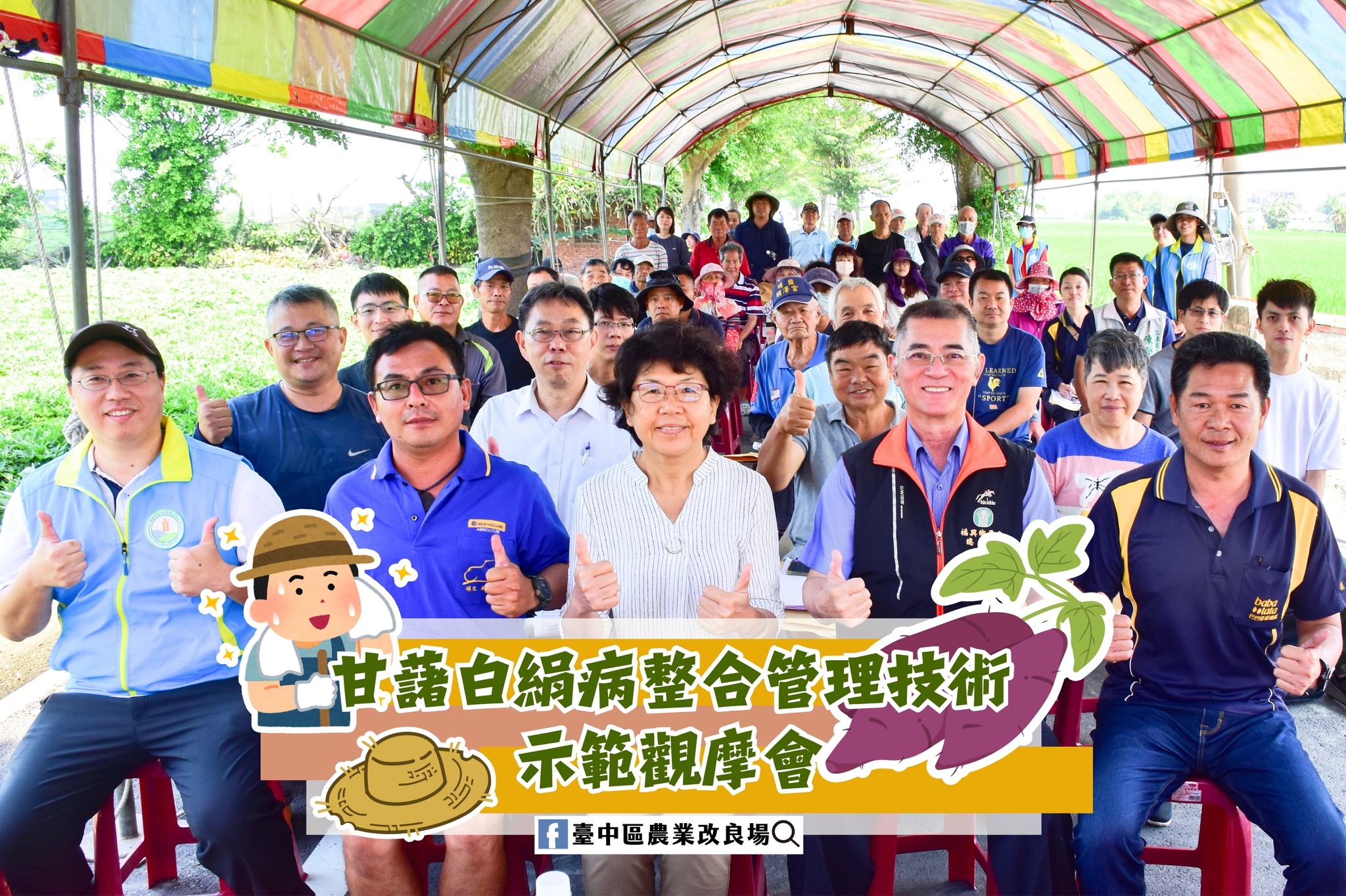 甘藷白絹病整合管理技術示範觀摩會