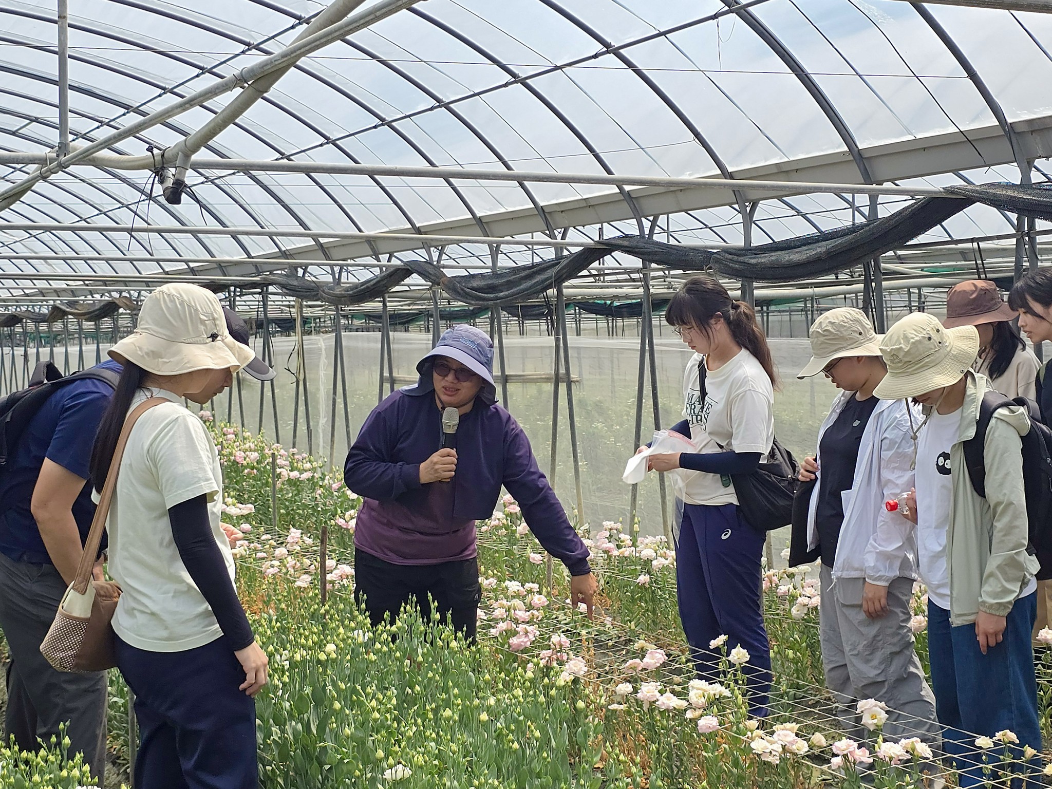 顏亭榕農友為大家說明田間栽培洋桔梗的栽培生產管理流程。