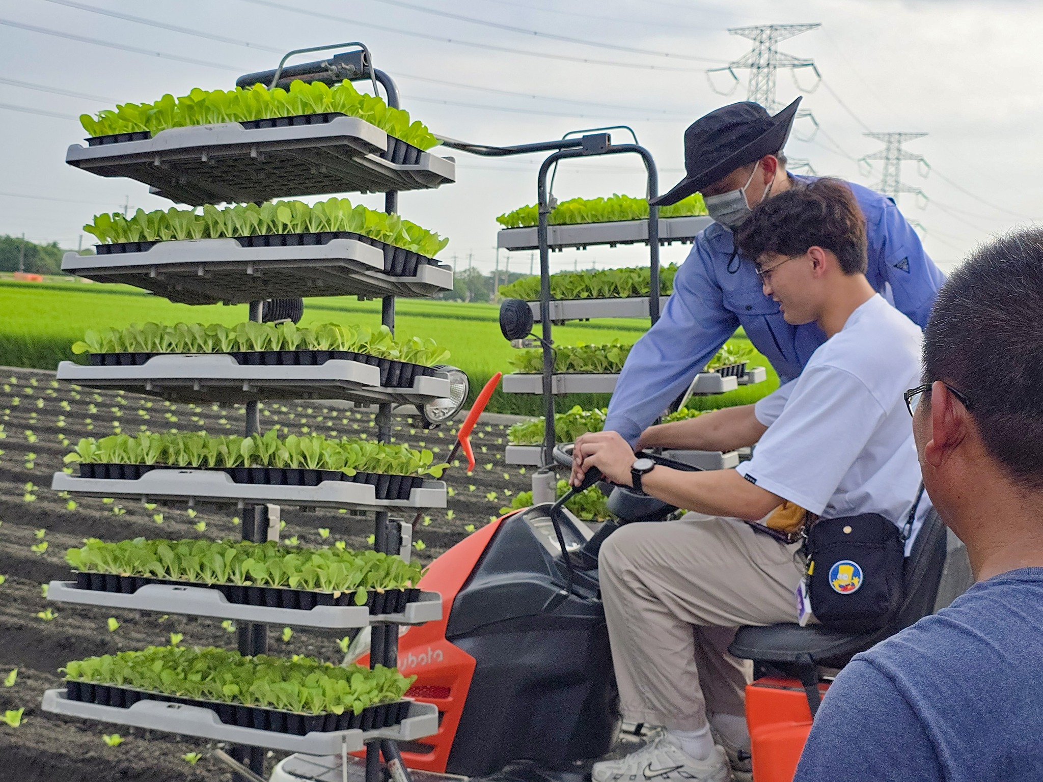 園藝系學生體驗移植作業。