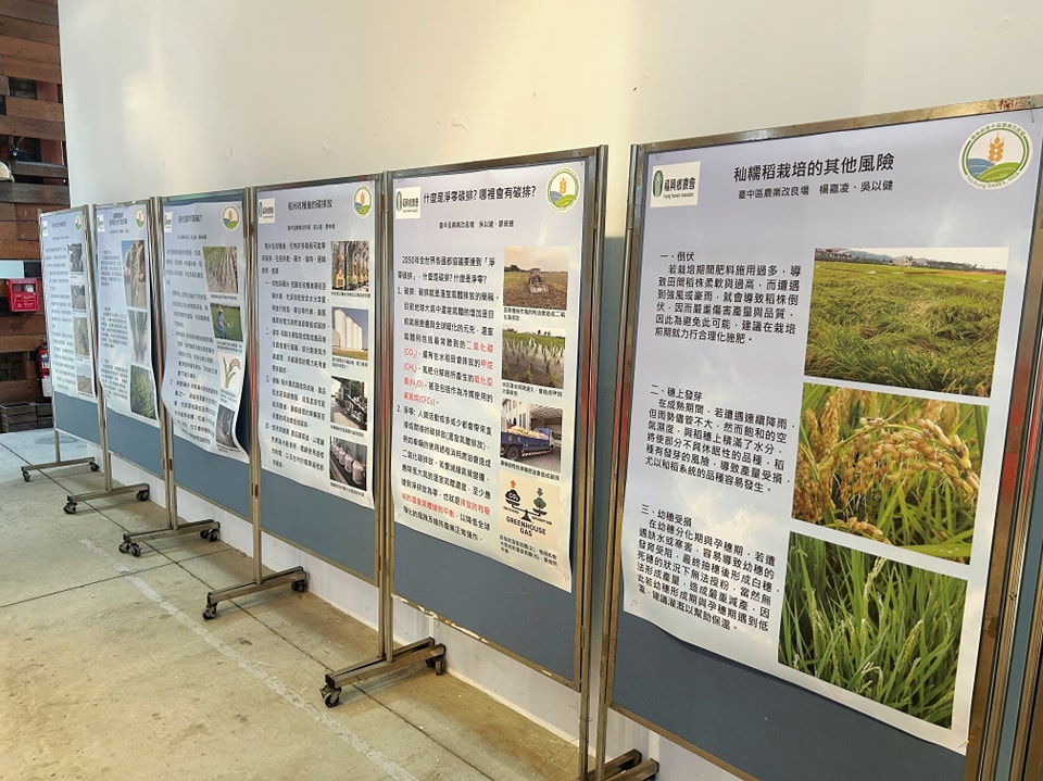 本場提供優良長糯品種與栽培技術推廣。