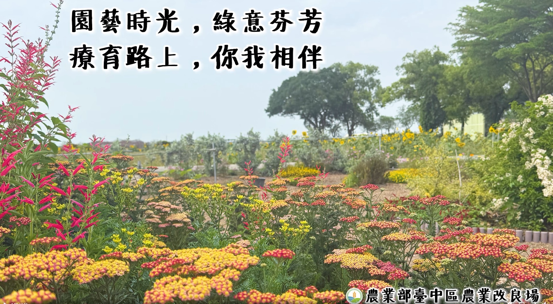 05月13日 農醫跨域合作開創農村綠照新價值 一同來看看臺中場園藝療育成果-影片