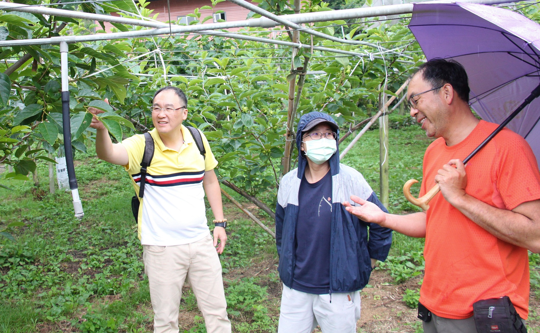 詹東運農友(右1)與本場同仁分享甜柿栽培及肥培管理，雙方相談甚歡。