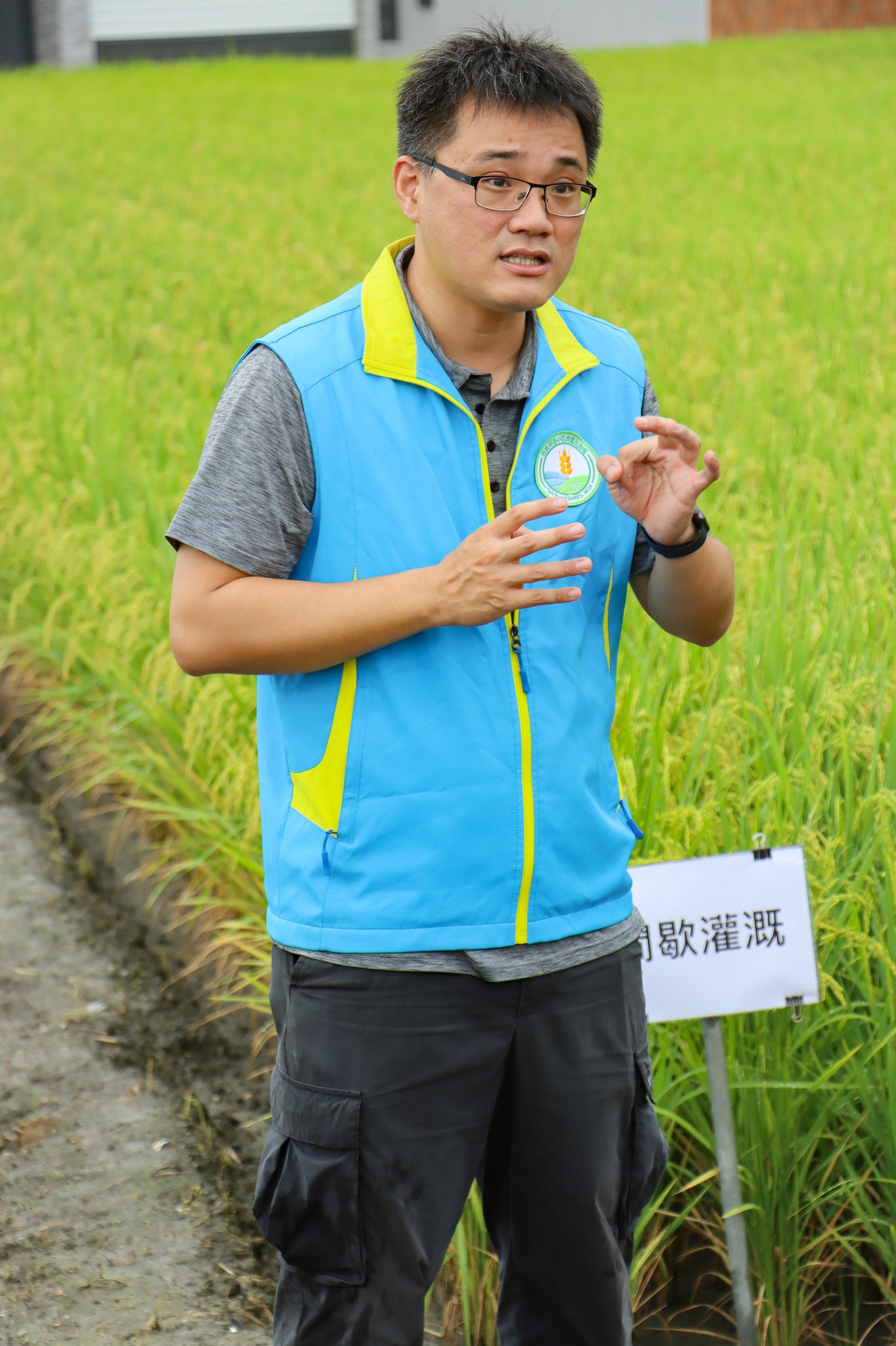 吳以健副研究員於示範田區實地說明水稻間歇灌溉的施行方法，以及稻株現況。