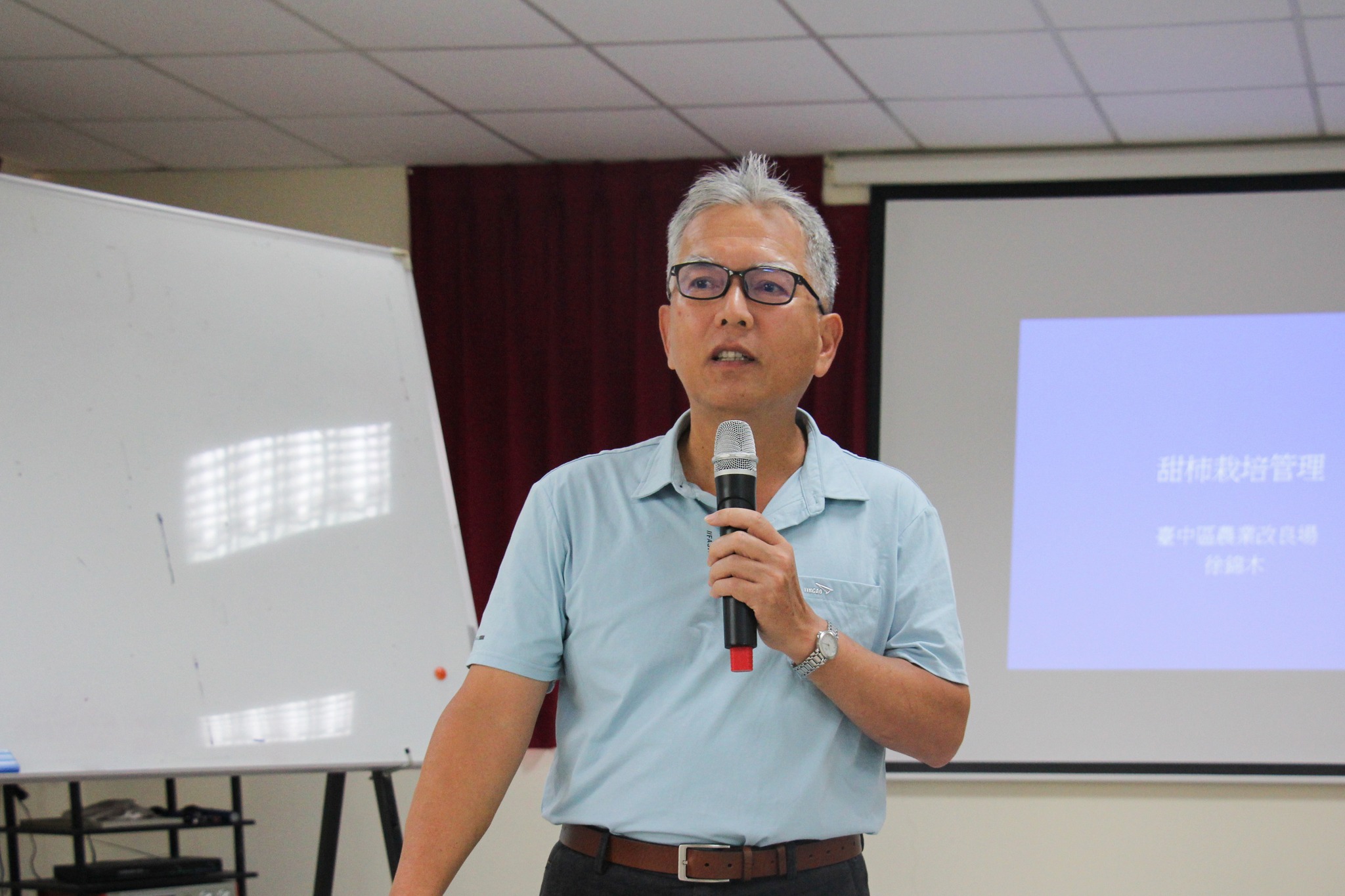 本場徐錦木助理研究員介紹甜柿栽培管理。