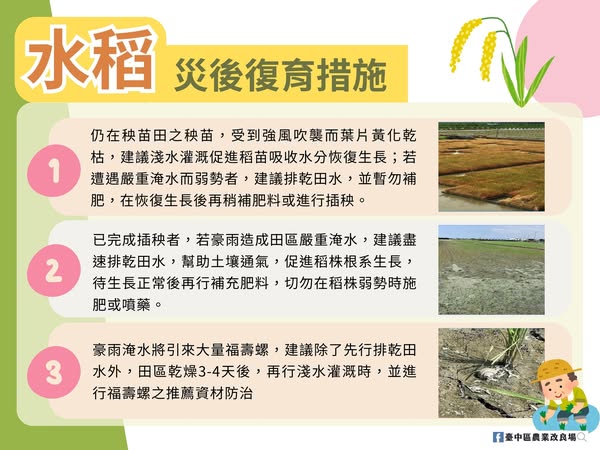 07月07日 丹娜絲颱風襲台 臺中場為協助農友儘快復耕 製作各類作物災後復育措施圖卡 提供各位農友參考使用