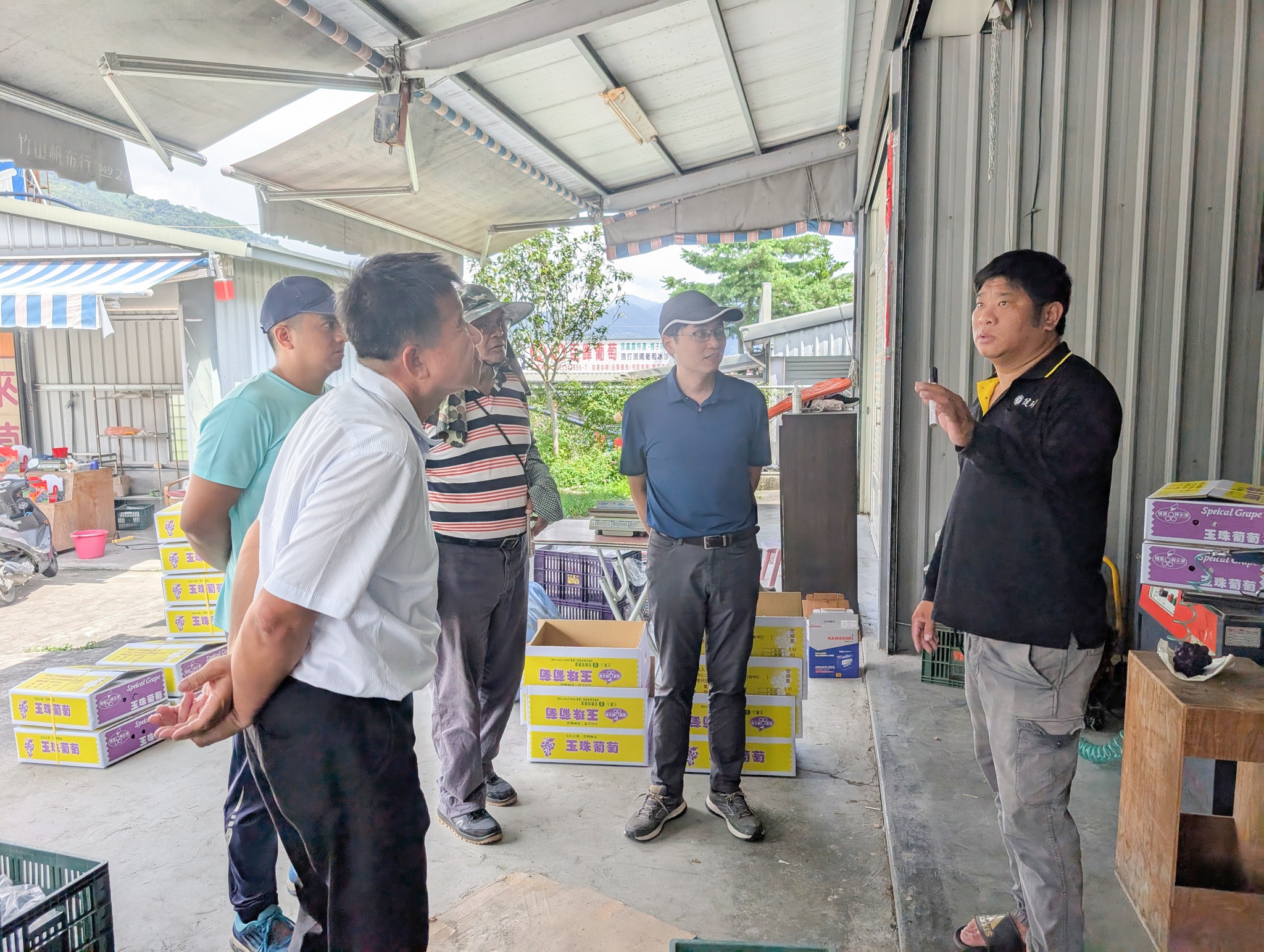 本場蕭政弘副場長(左1)率本場同仁至信義鄉農友葡萄果園包裝集貨場,關心收成與裂果情況。