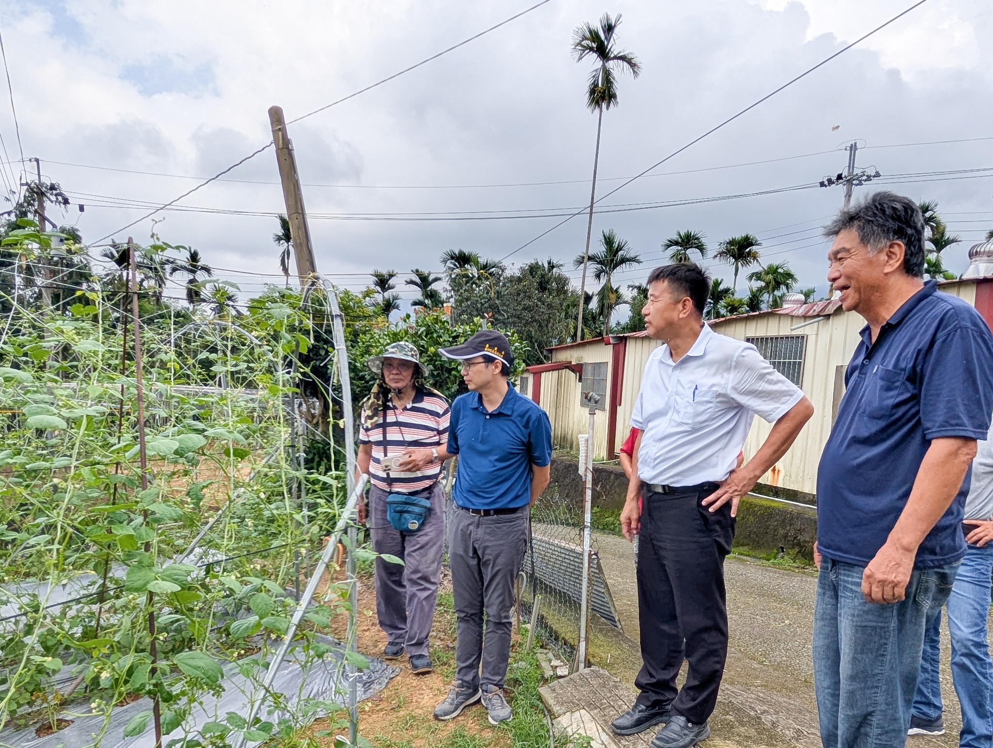 本場蕭政弘副場長(右2)率本場同仁關心敏豆災後復耕情形。