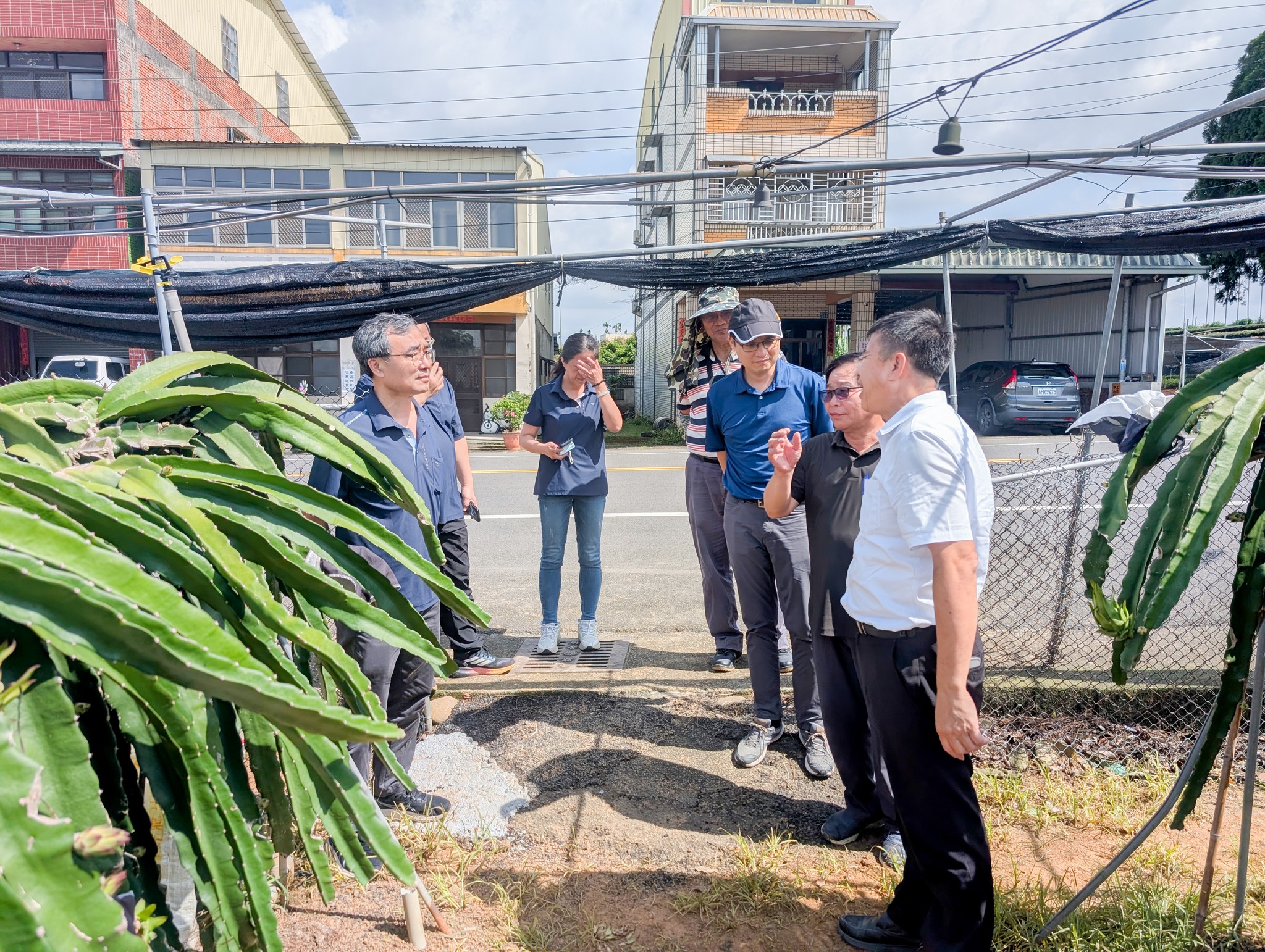 本場蕭政弘副場長(右2)率本場同仁關心名間鄉紅龍果園災後復耕及管理情形。