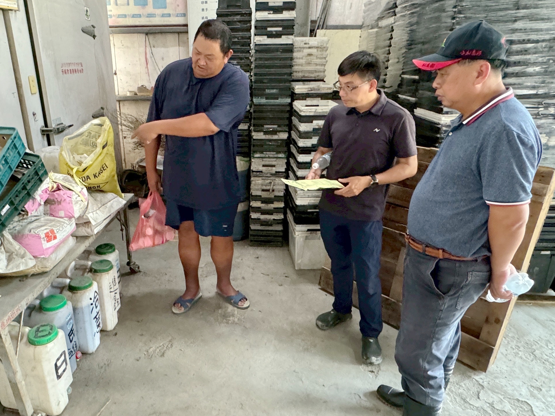 田尾花卉第7班邱家隆班長(左)向白桂芳秘書(右)及許嘉錦助理研究員(中)分享非洲菊平時及淹水後立即使用本場微生物製劑灌施,可有效減少植株損傷程度。