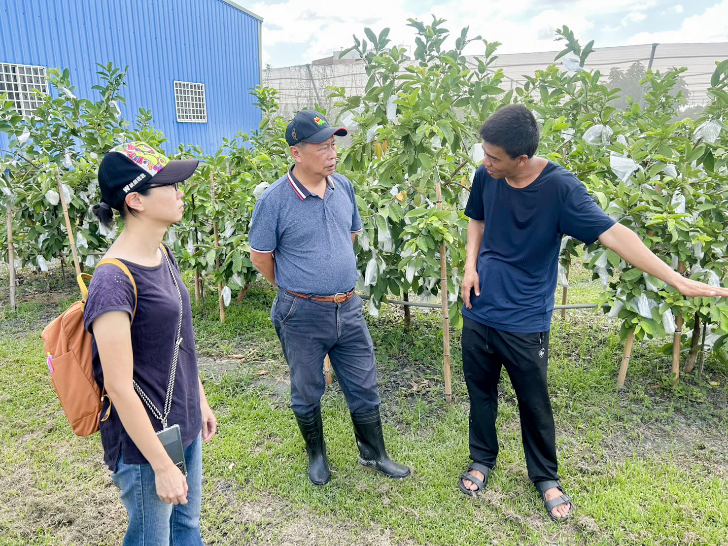 本場白桂芳秘書關心葉佳憬青農災害淹水及災損情形。