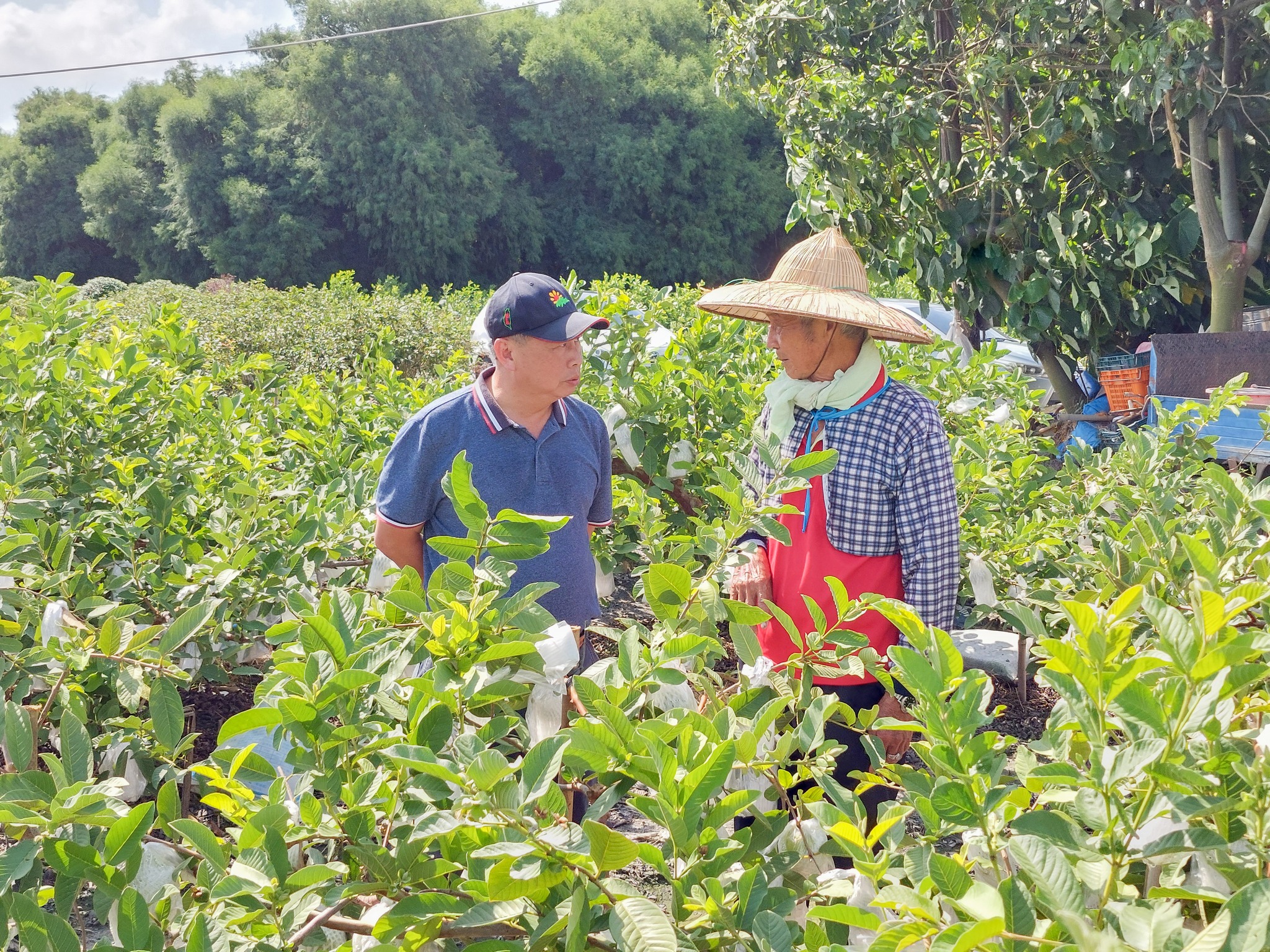 本場白桂芳秘書關心鄭水順班長災損情形,說明政府已啟動農作物天然災害救助。