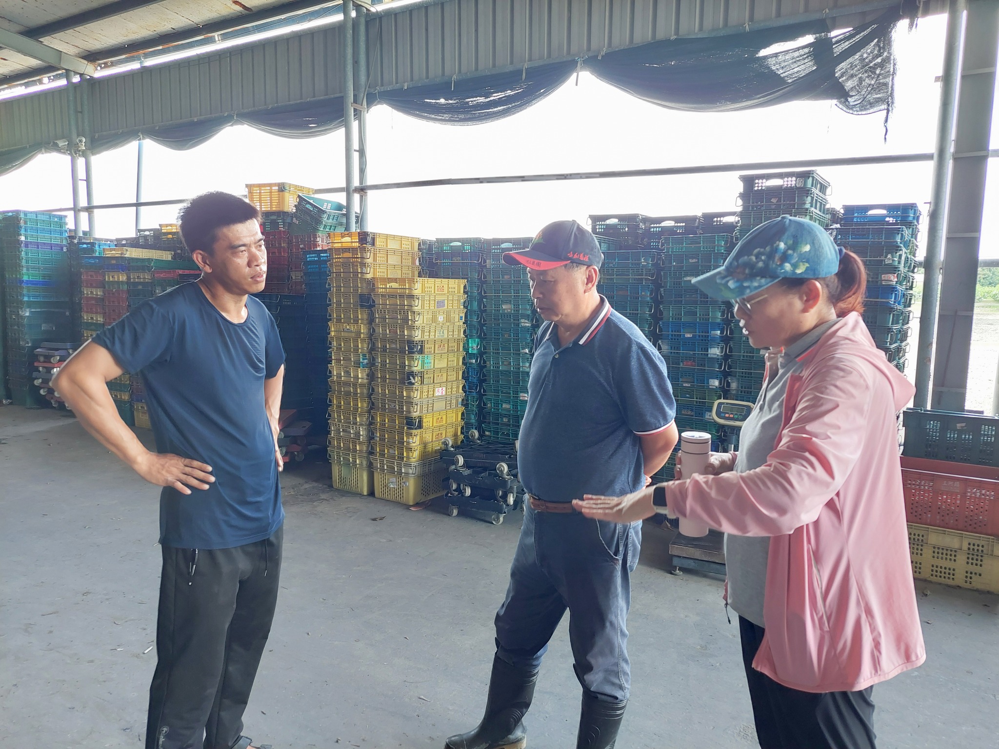 本場白桂芳秘書(中)率本場同仁輔導葉佳憬青農,現場討論田間用藥,並鼓勵加強復耕措施。