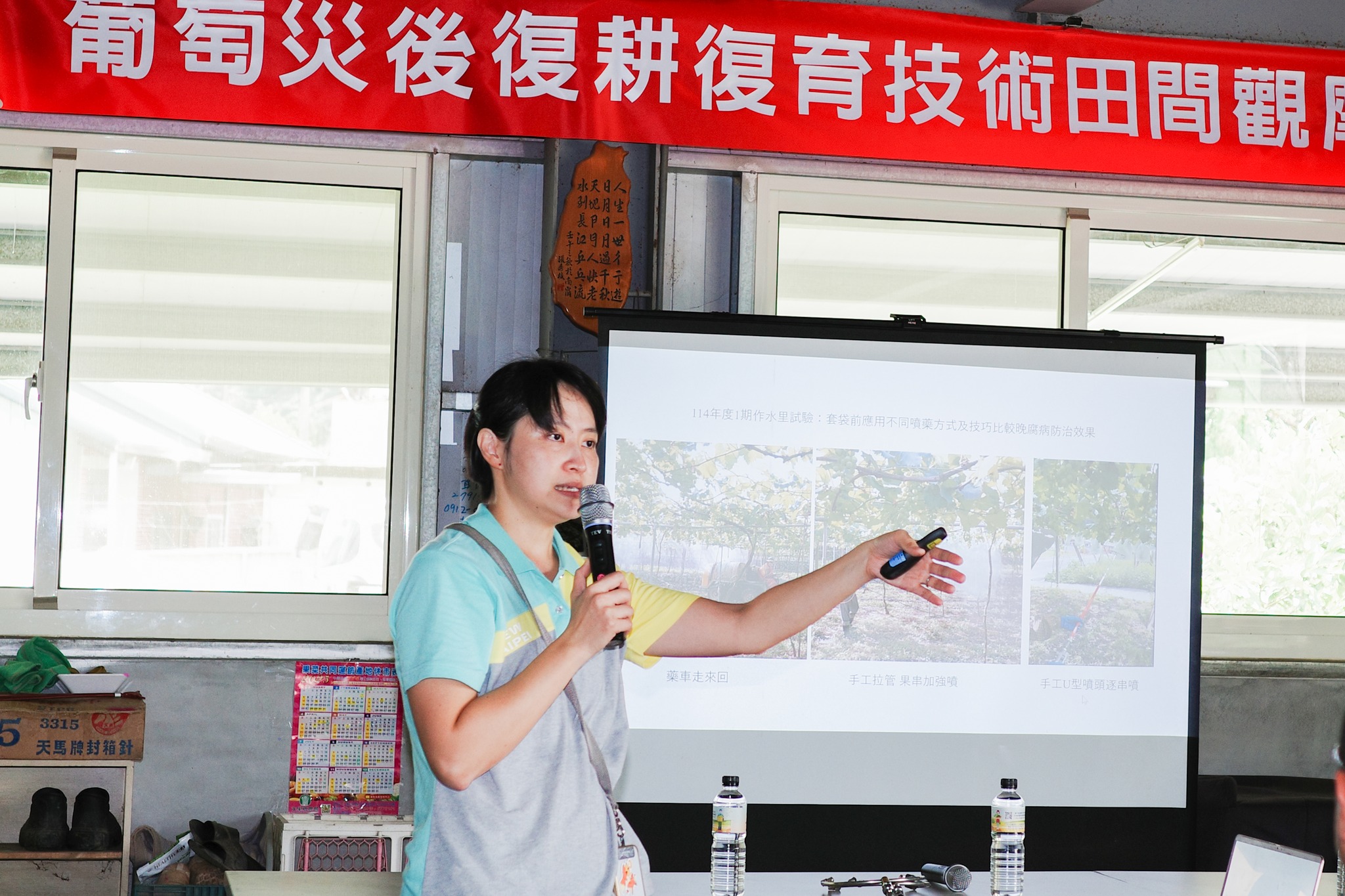 許晴情助理研究員說明本次晚腐病防治技術試驗重點。