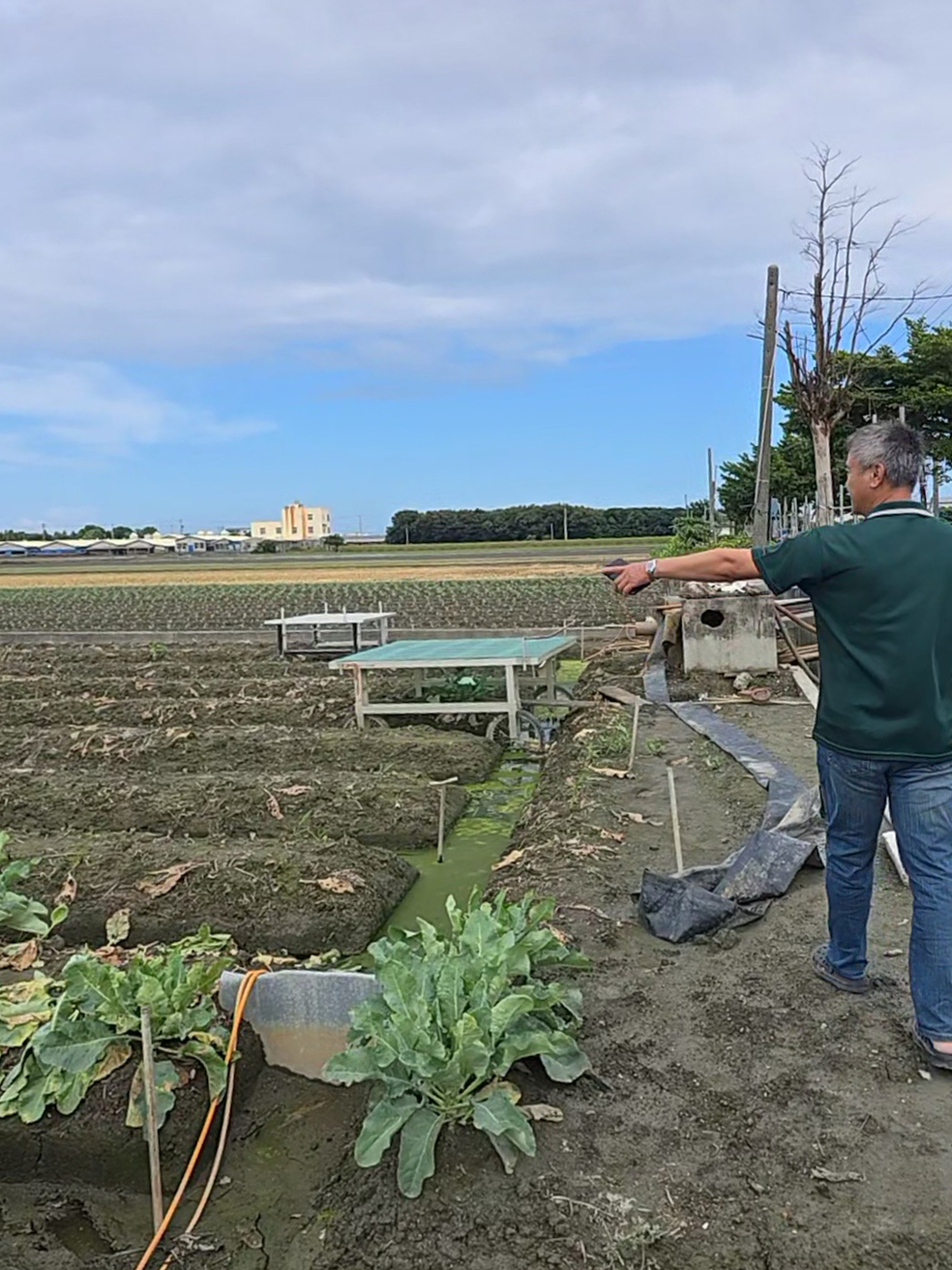 埔鹽鄉種植花椰菜的施姓農友向本場同仁說明豪雨時田區淹水情形。