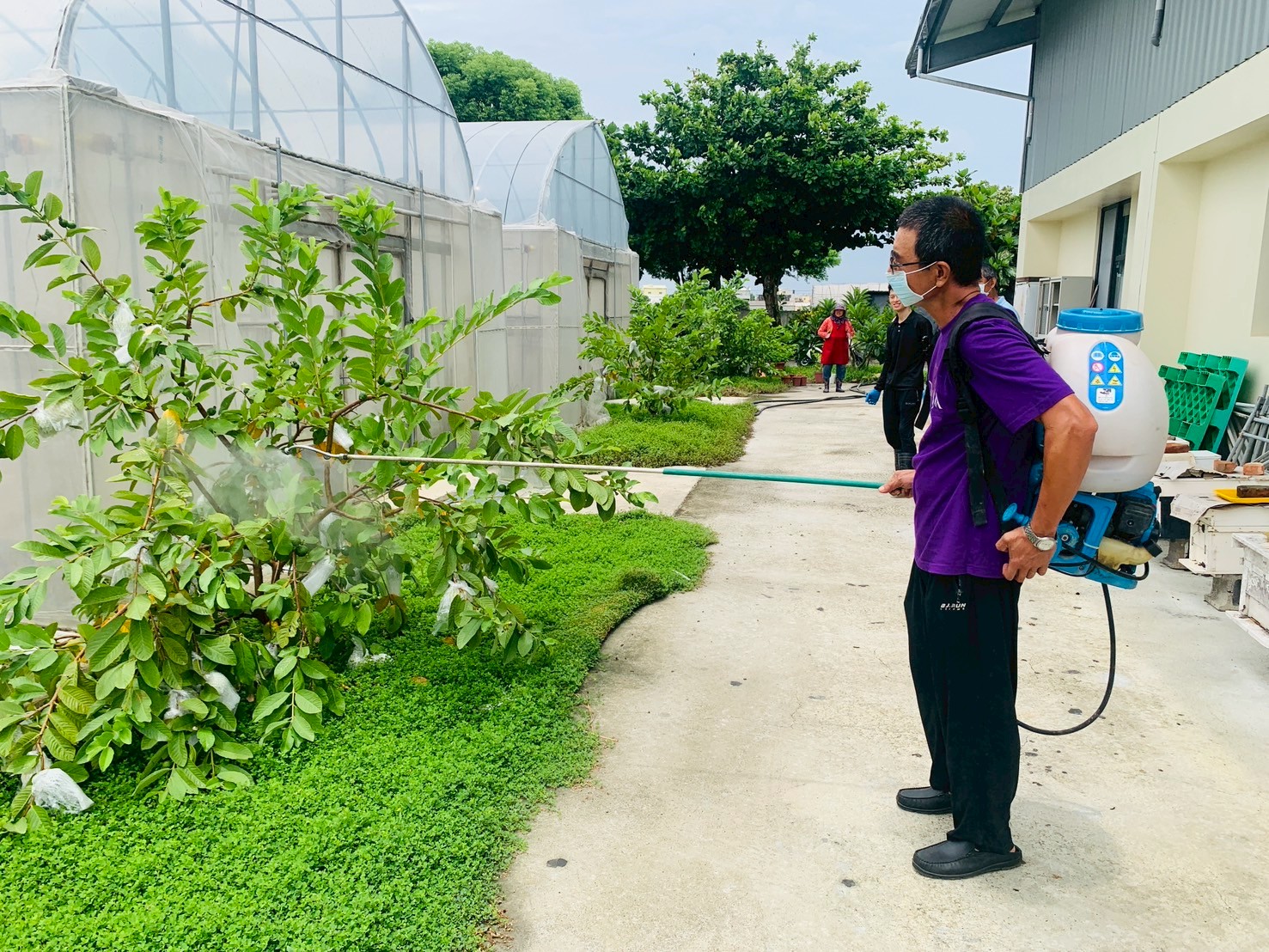 學員學習葉面施肥實作。