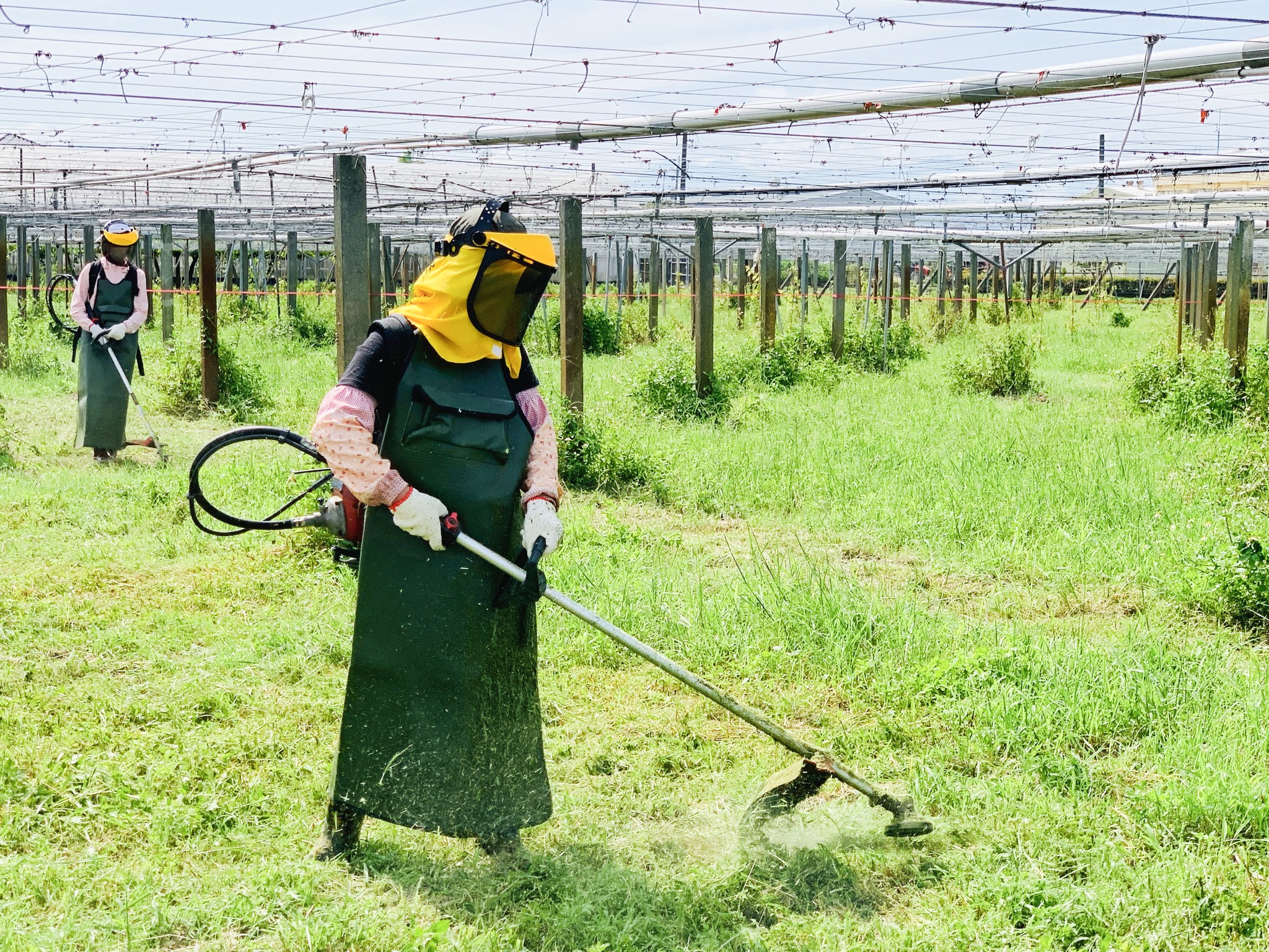 學員進行背負式割草機實作。