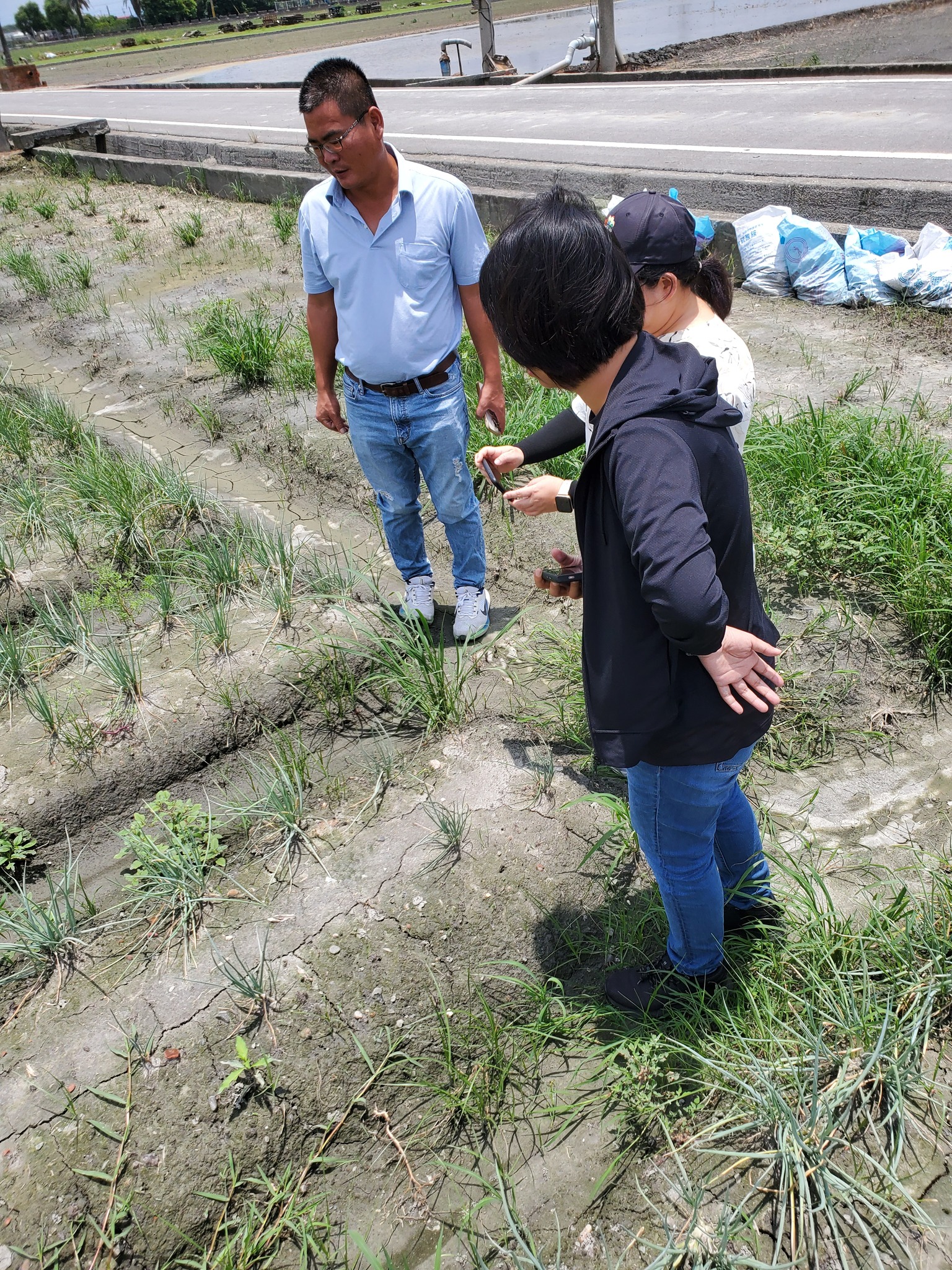 本場技術團拜訪竹塘鄉農友,討論天然災害與蔬菜產業發展。