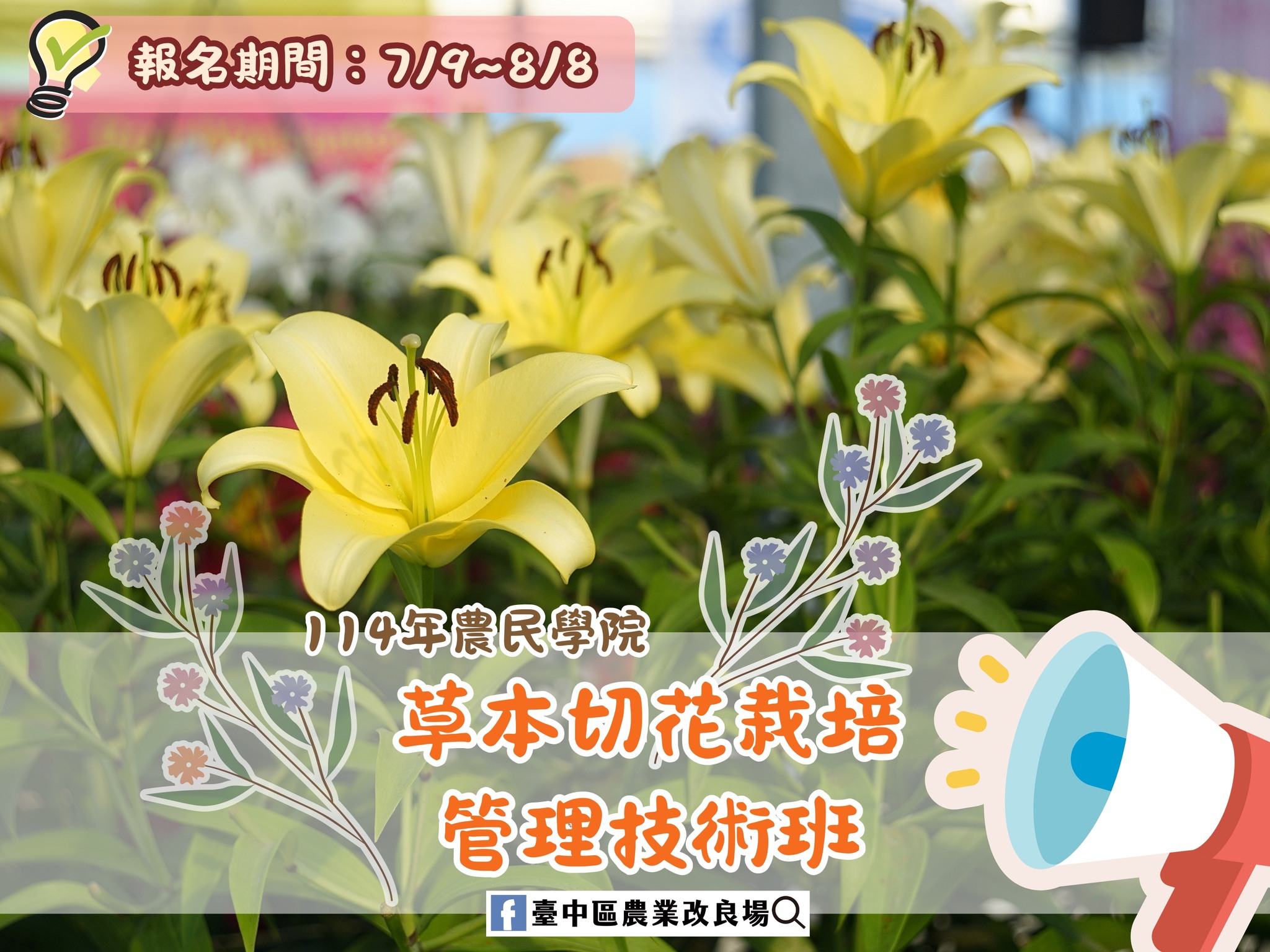 07月22日 114年農民學院「草本切花(菊花、洋桔梗、百合) 栽培管理技術班」現正熱烈招生中~