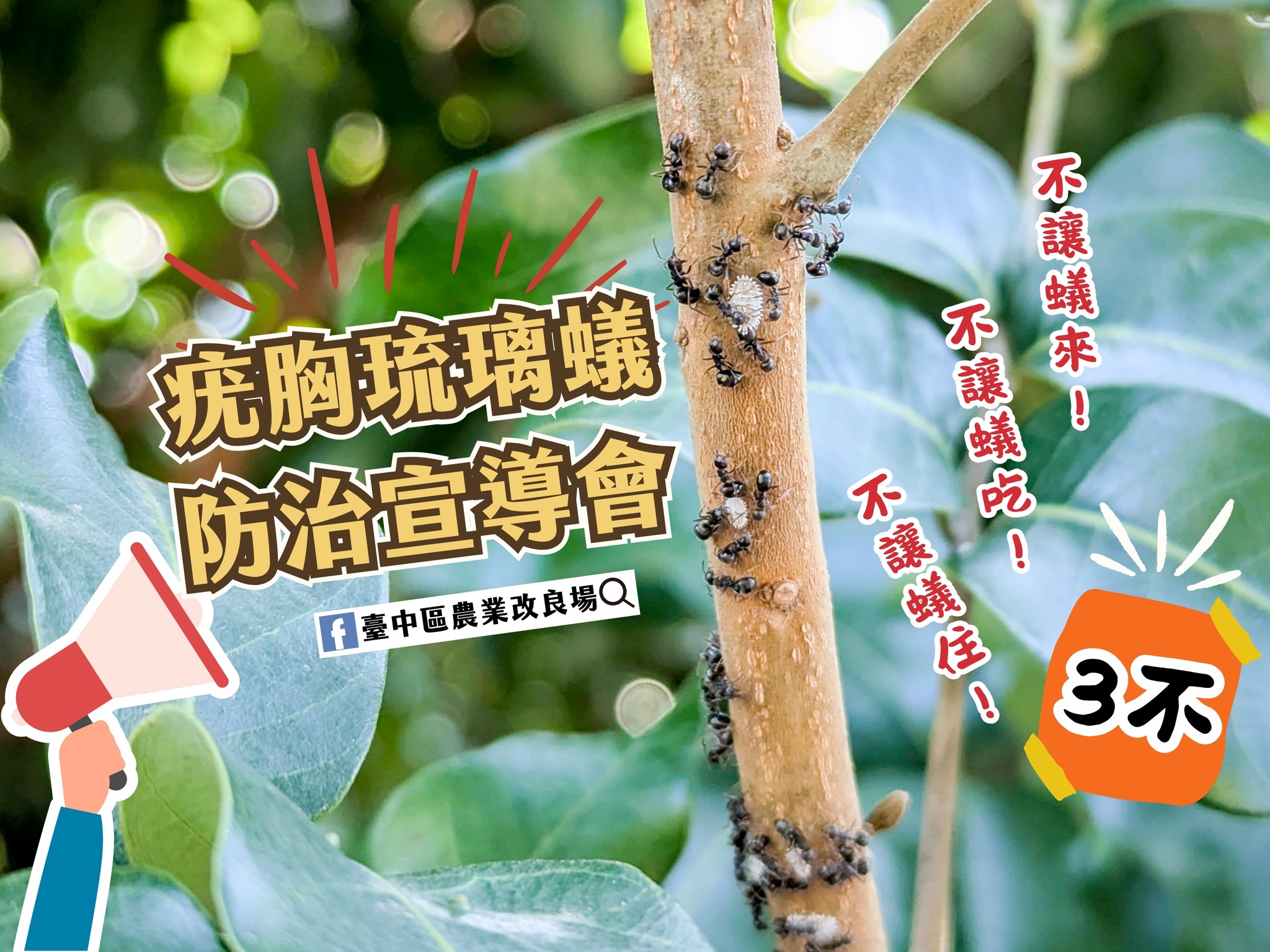 07月23日 臺中市和平區「疣胸琉璃蟻防治宣導會」