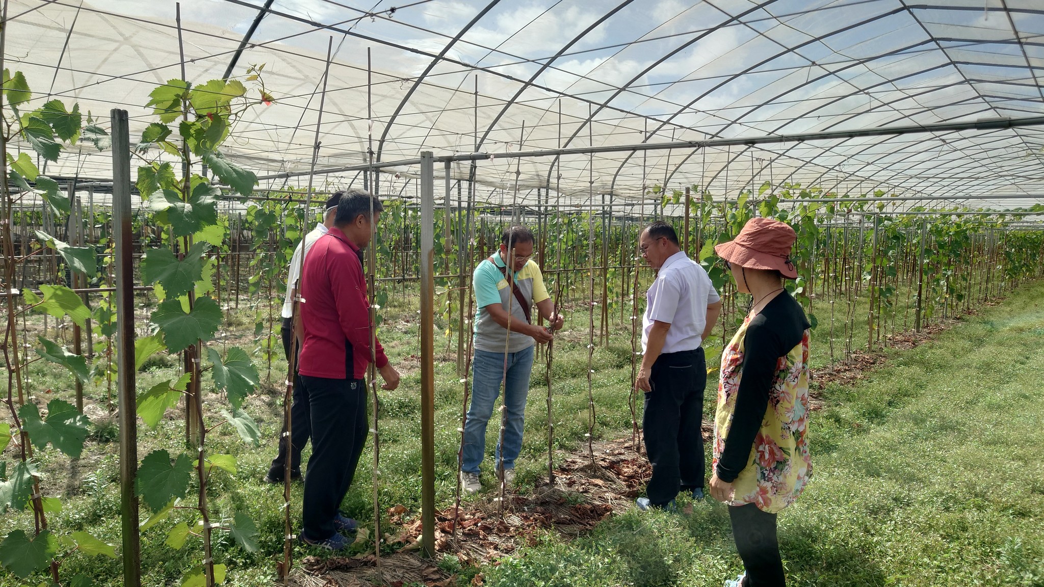 07月25日 臺中場技術服務團復耕復育輔導不間斷 前往溪湖鎮與二林鎮 關心農友災損與復育情形