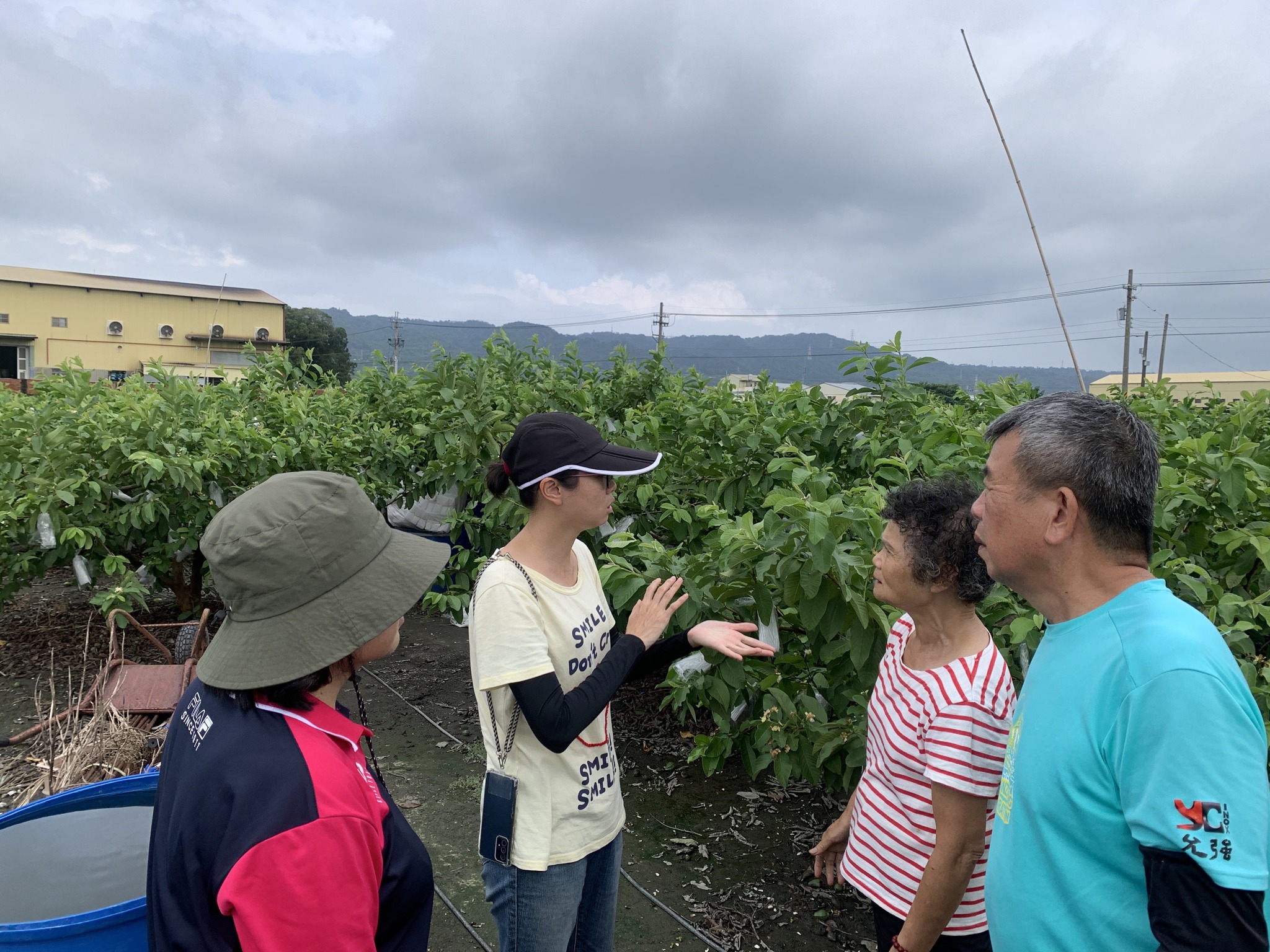 本場專家同仁(左2)提供農友番石榴復耕復育建議。