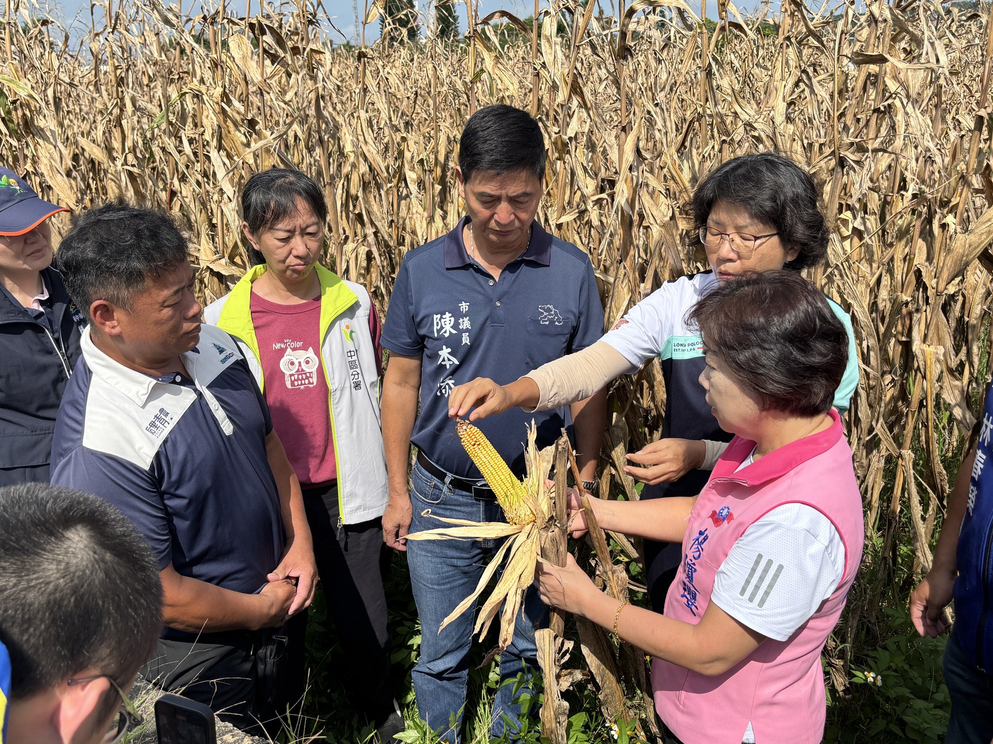 楊宏瑛場長向楊瓊瓔委員及農民說明硬質玉米穗上發芽原因。