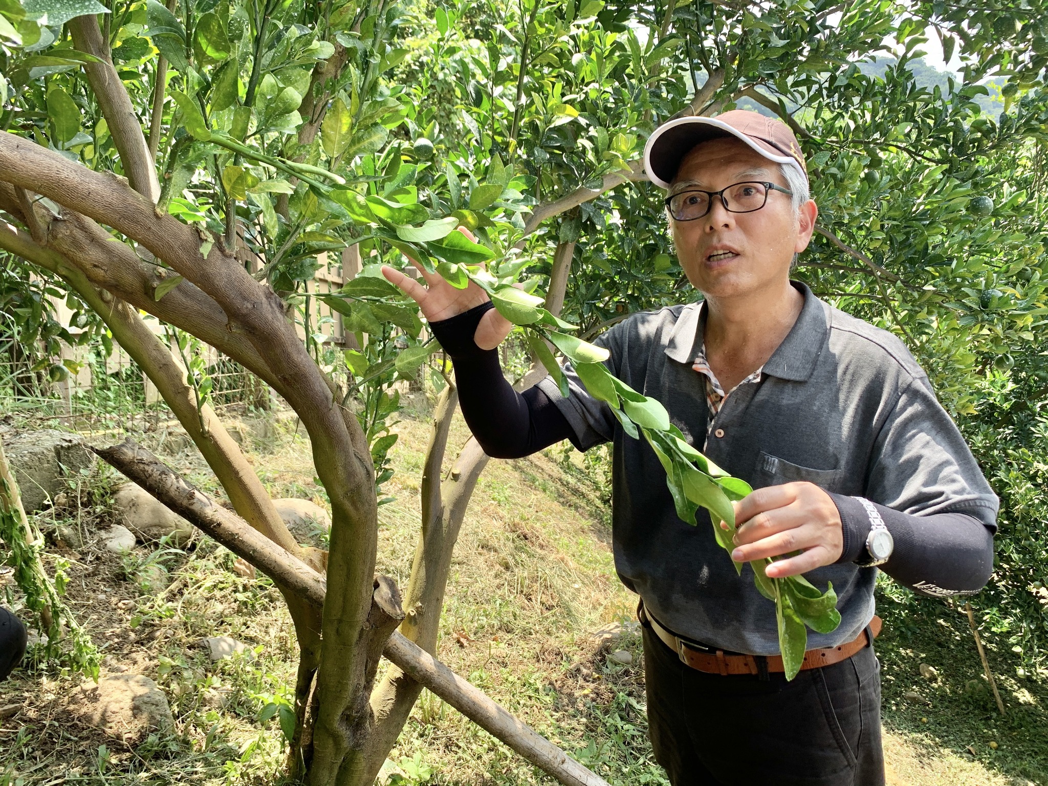 講師徐錦木助理研究員示範捻枝技巧。