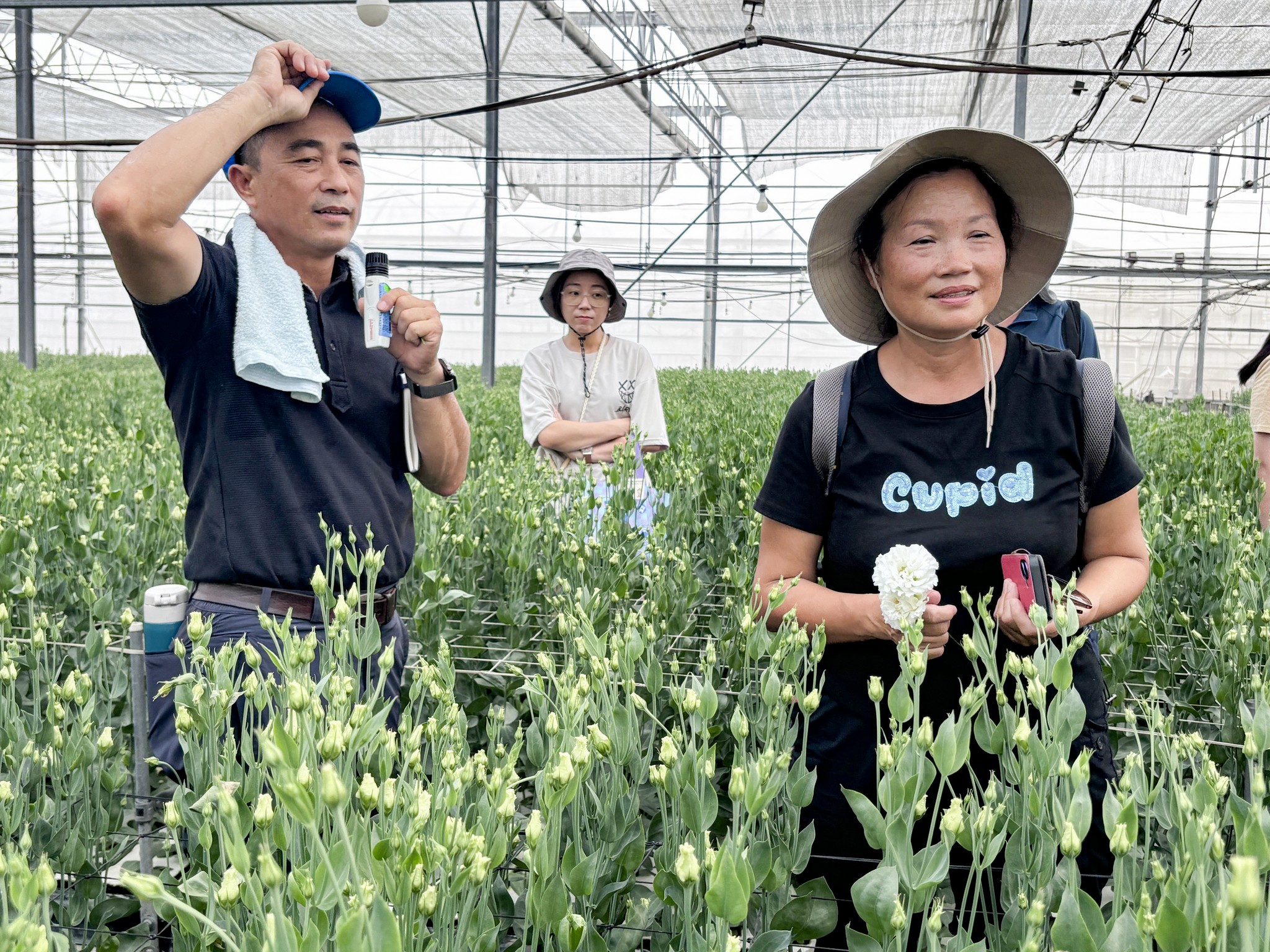 綠藝園藝陳建興農場主說明水耕洋桔梗生產方式。