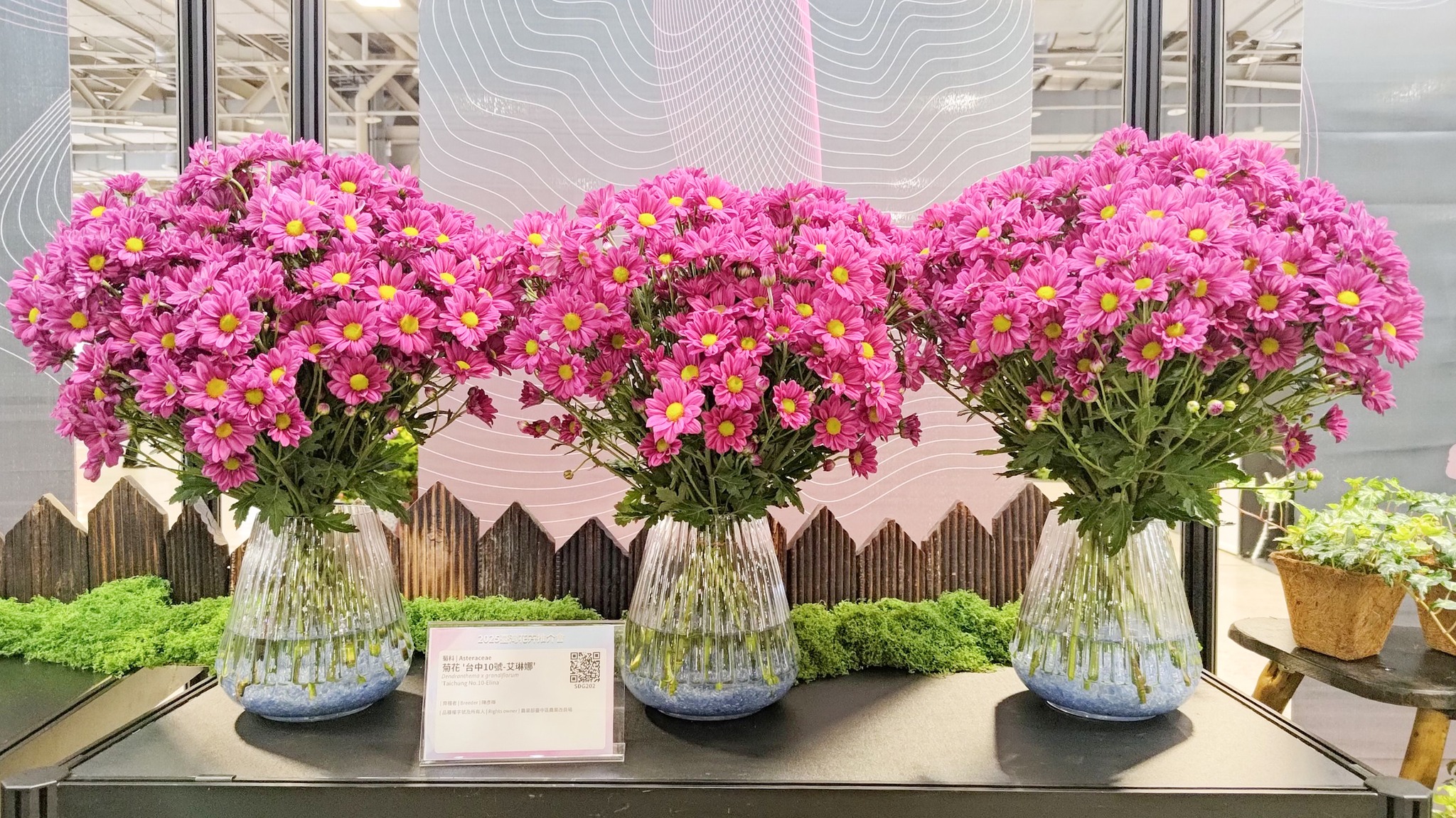 花卉圖10 2025臺灣花卉推介會(臺中區農業改良場)
