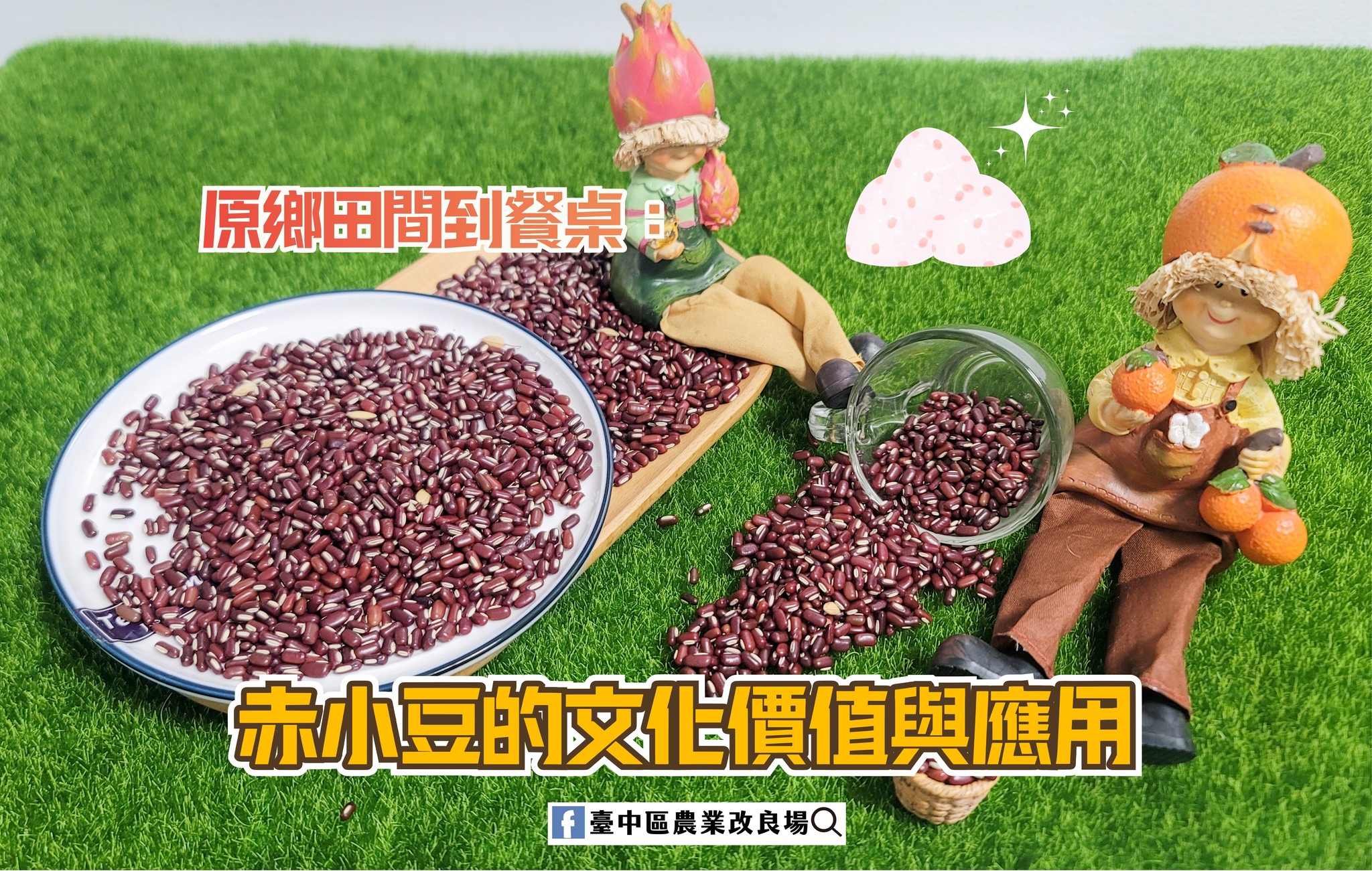 12月02日 原鄉田間到餐桌:赤小豆的文化價值與應用