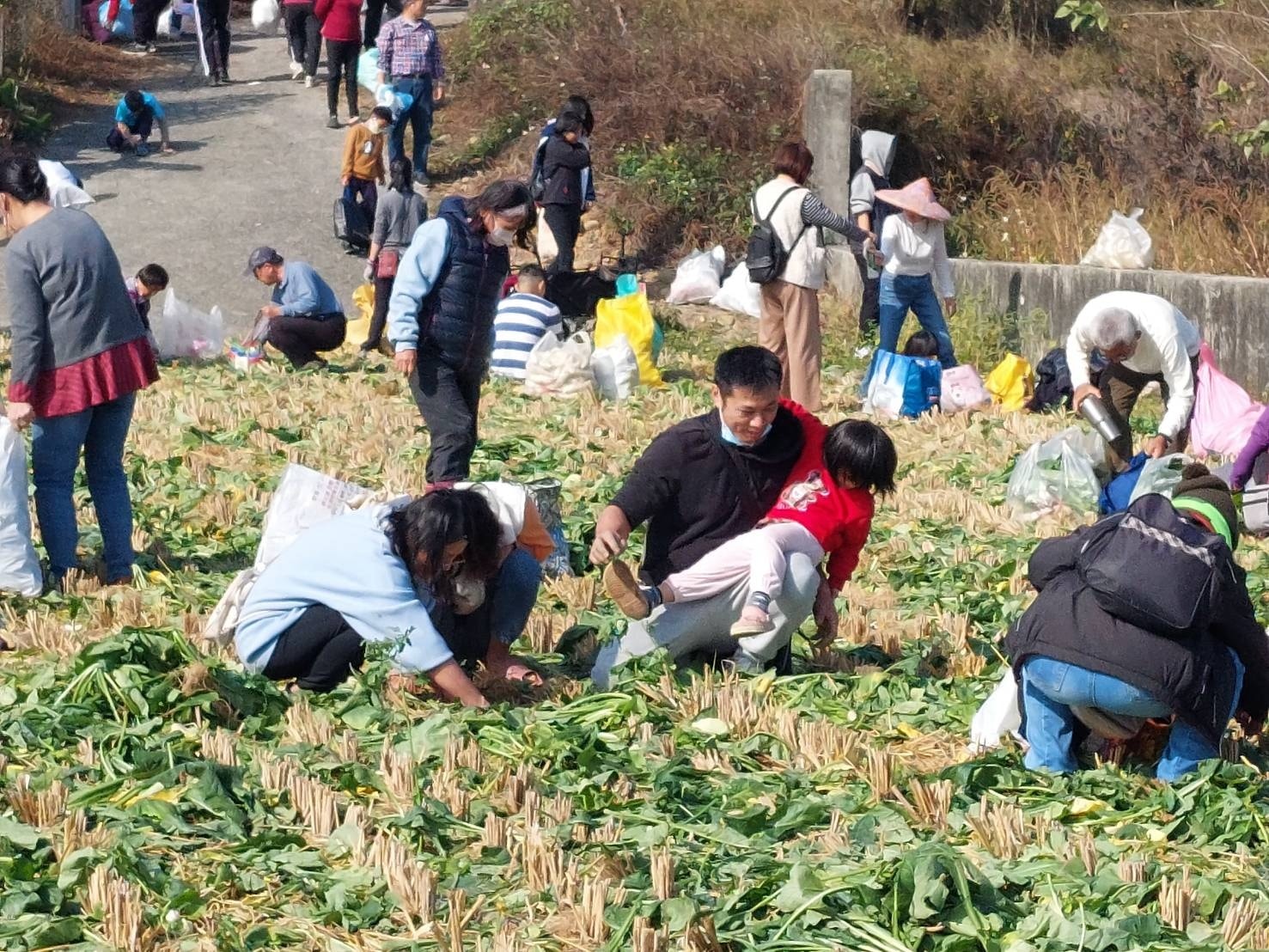 芬園鄉農會「2026芬饗農食典」白寶玉出土記 千人拔彩頭活動-5