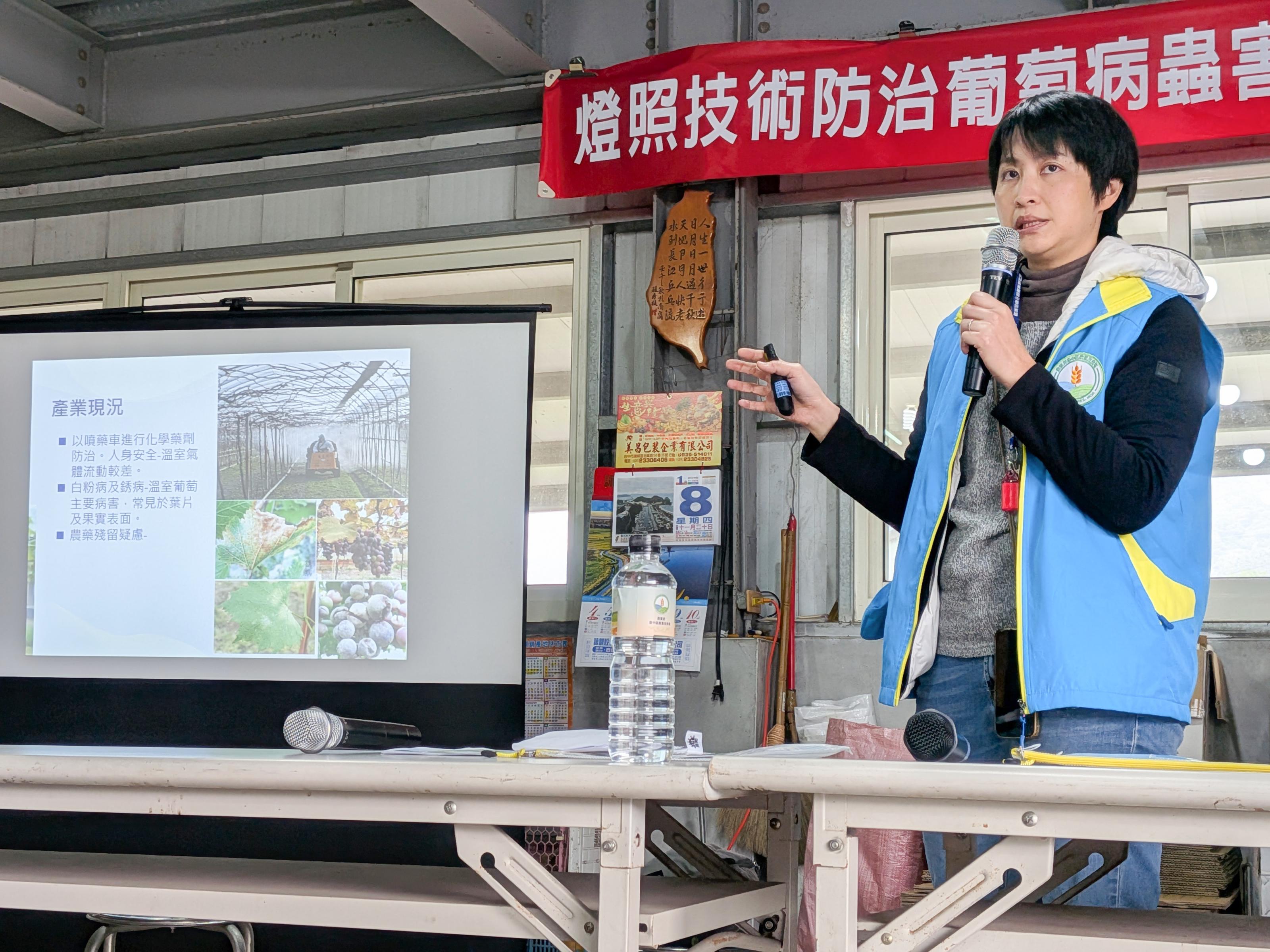 臺中農改場許晴情助理研究員向現場農友說明「植物害物燈照抑制系統」在溫室葡萄白粉病、銹病及二點葉蟎防治上的顯著減藥成效。