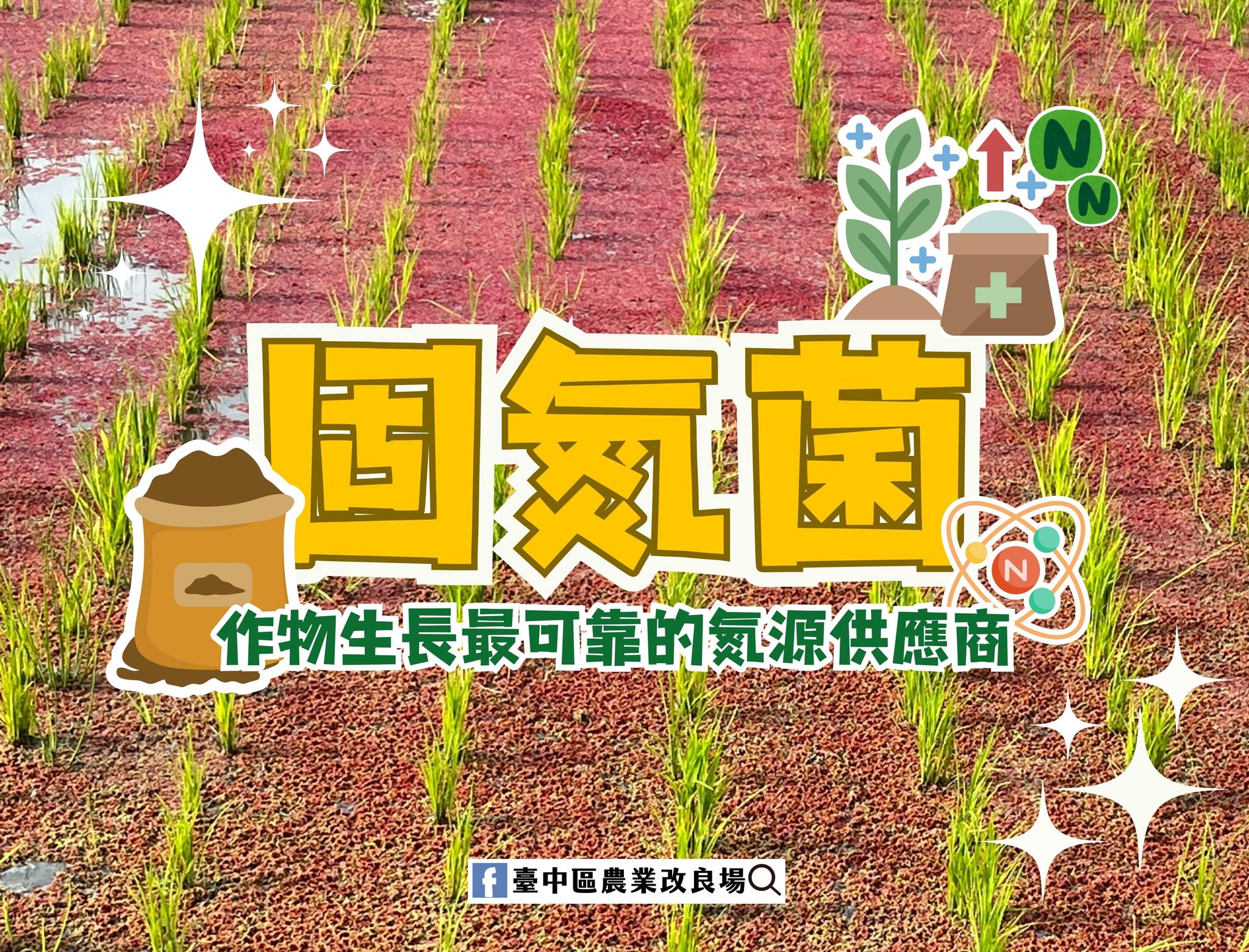 01月06日 固氮菌之介紹