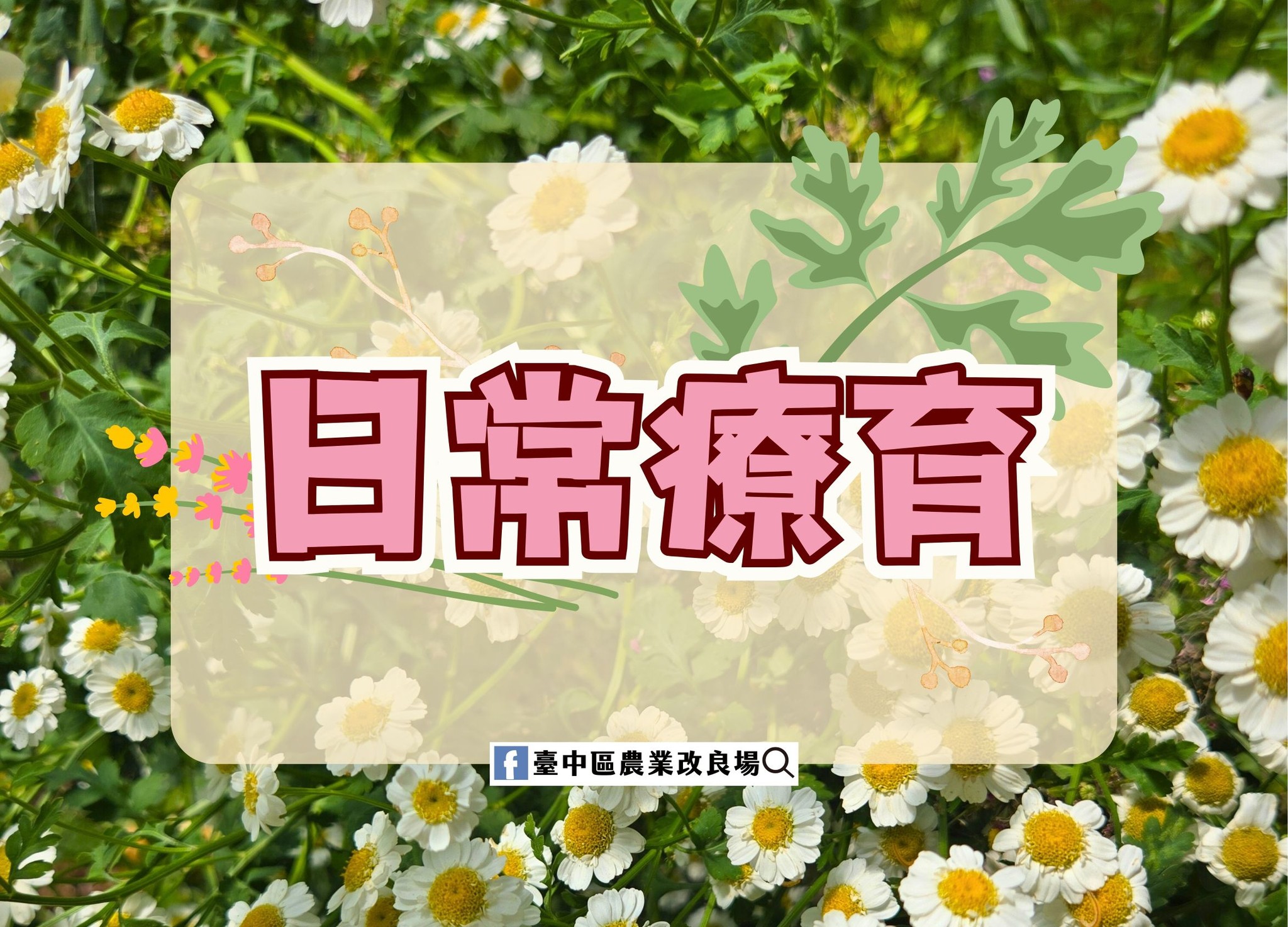 01月07日 日常療育－在日常生活中體驗園藝療育