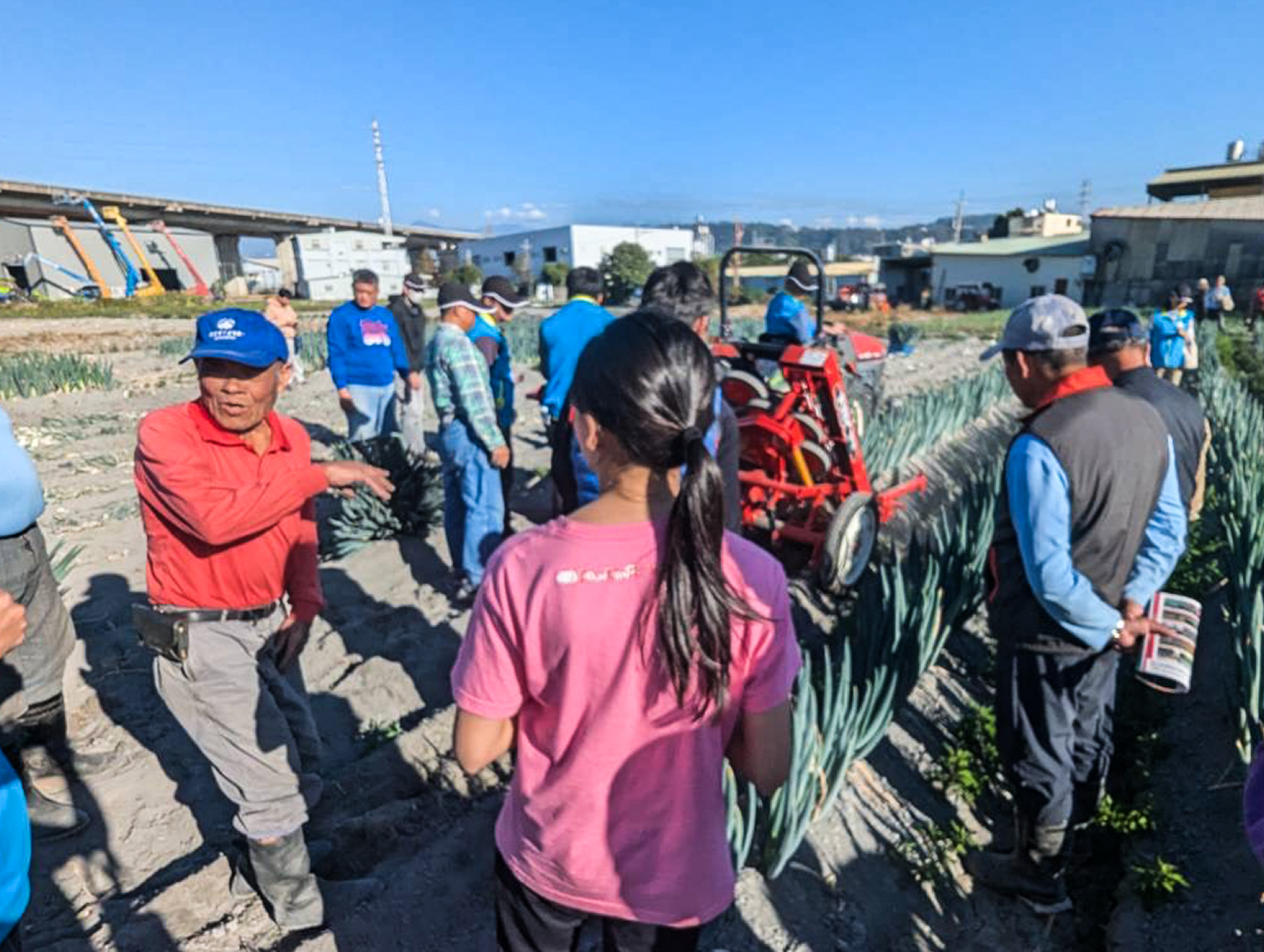 蔬菜第五班班長王朝寶農友分享大蔥生產栽培經驗