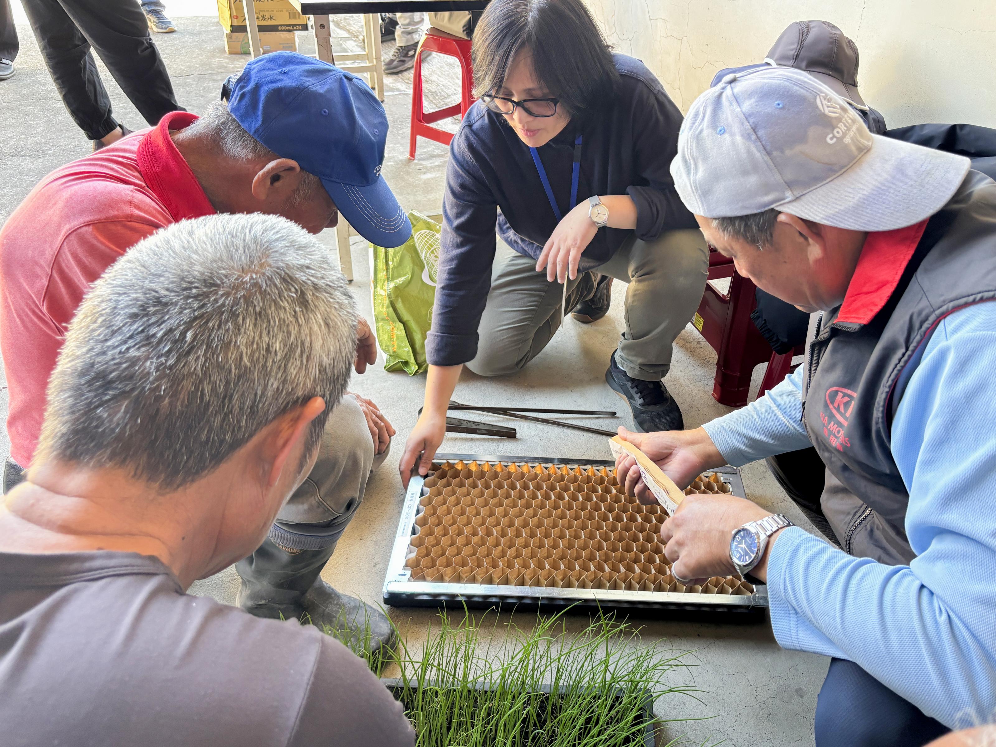 亞州日信商事股份有限公司陳詩怡經理介紹大蔥蜂巢式育苗與省工移植之應用。