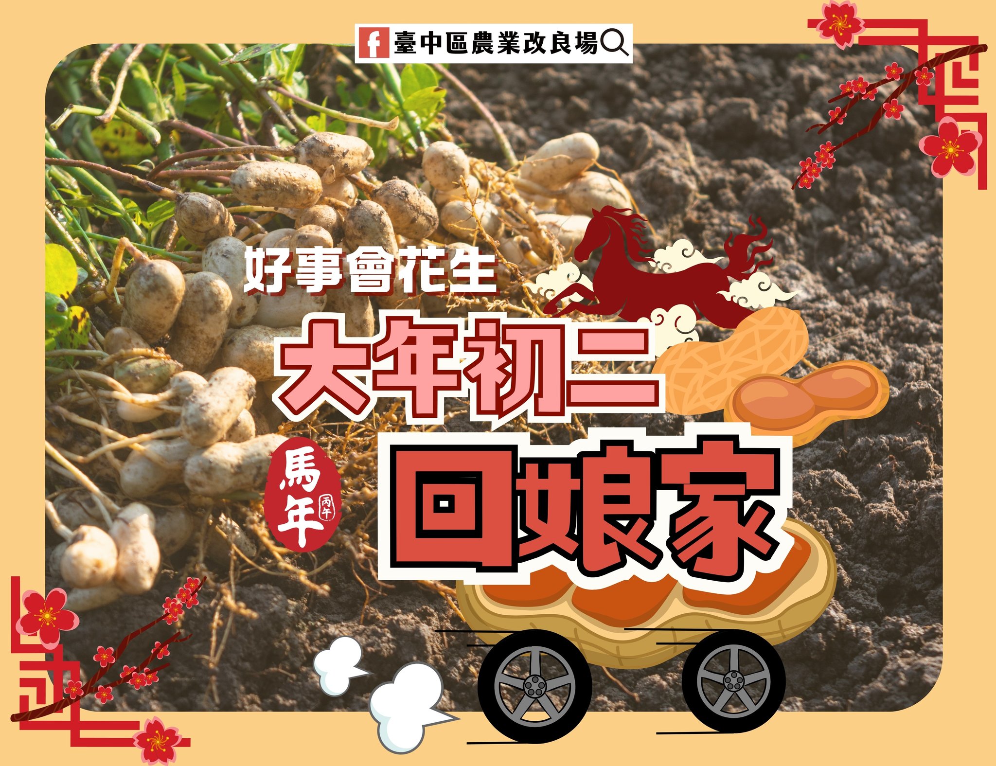 02月18日 大年初二回娘家 送禮送花生 好事會"花生"