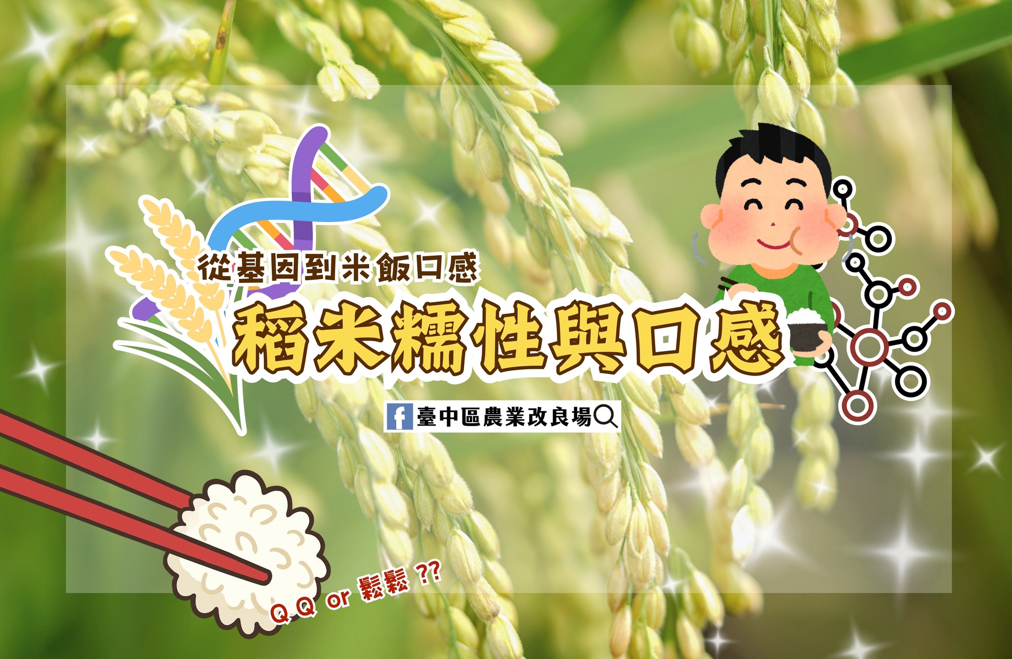 02月25日 從基因到米飯口感-稻米糯性與口感