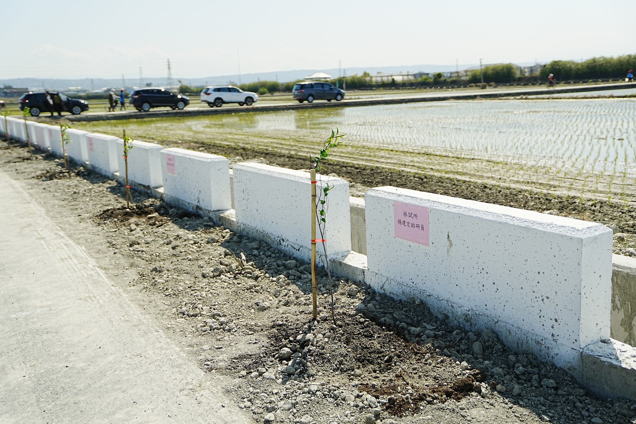 本場同仁同心協力共同植樹成功，期待未來大樹成蔭。