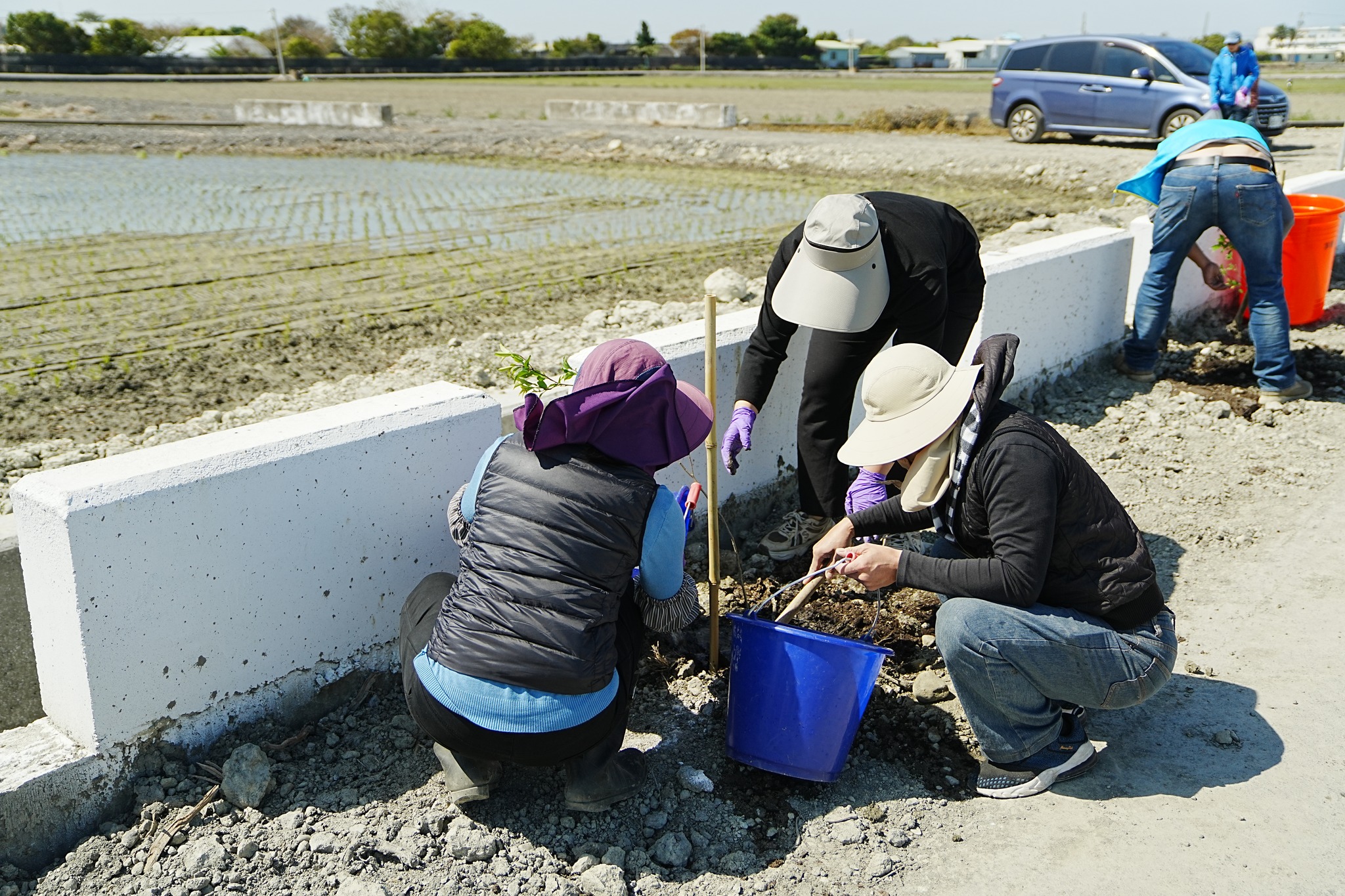 本場同仁同心協力共同植樹。