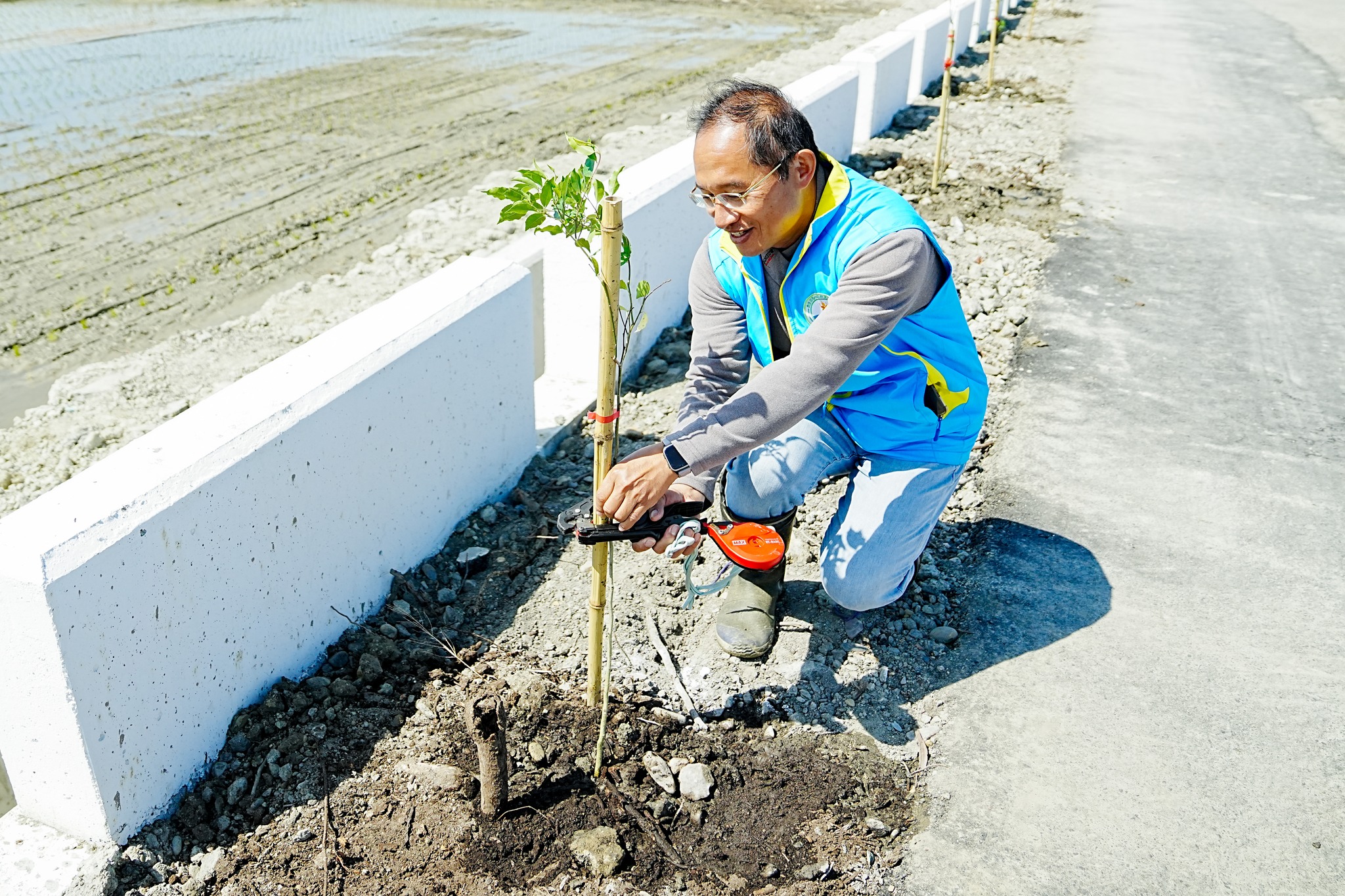 本場同仁協助苗木固定。