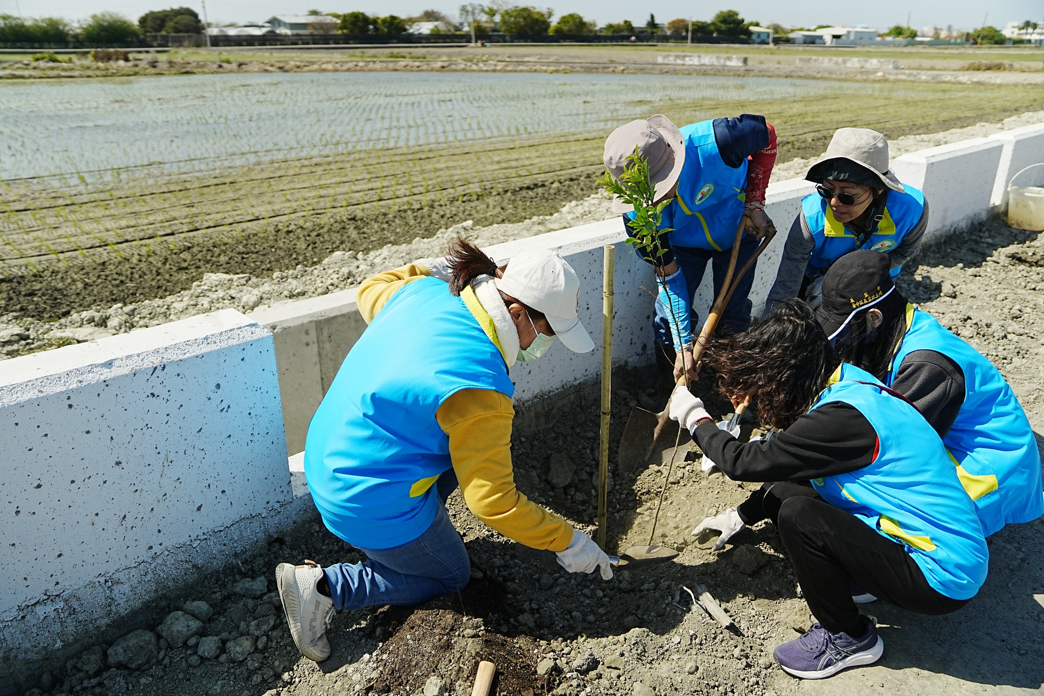 本場同仁同心協力共同植樹。