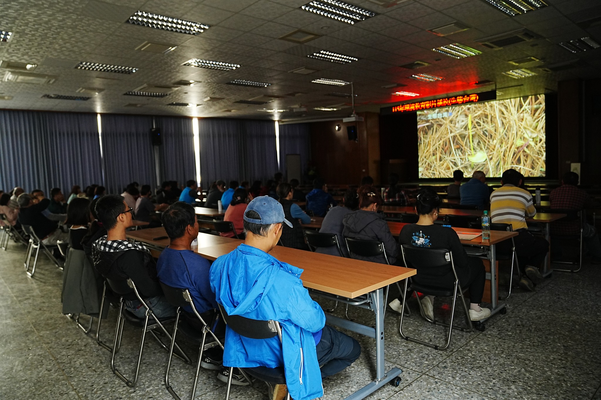 115年環境教育暨植樹節植樹活動